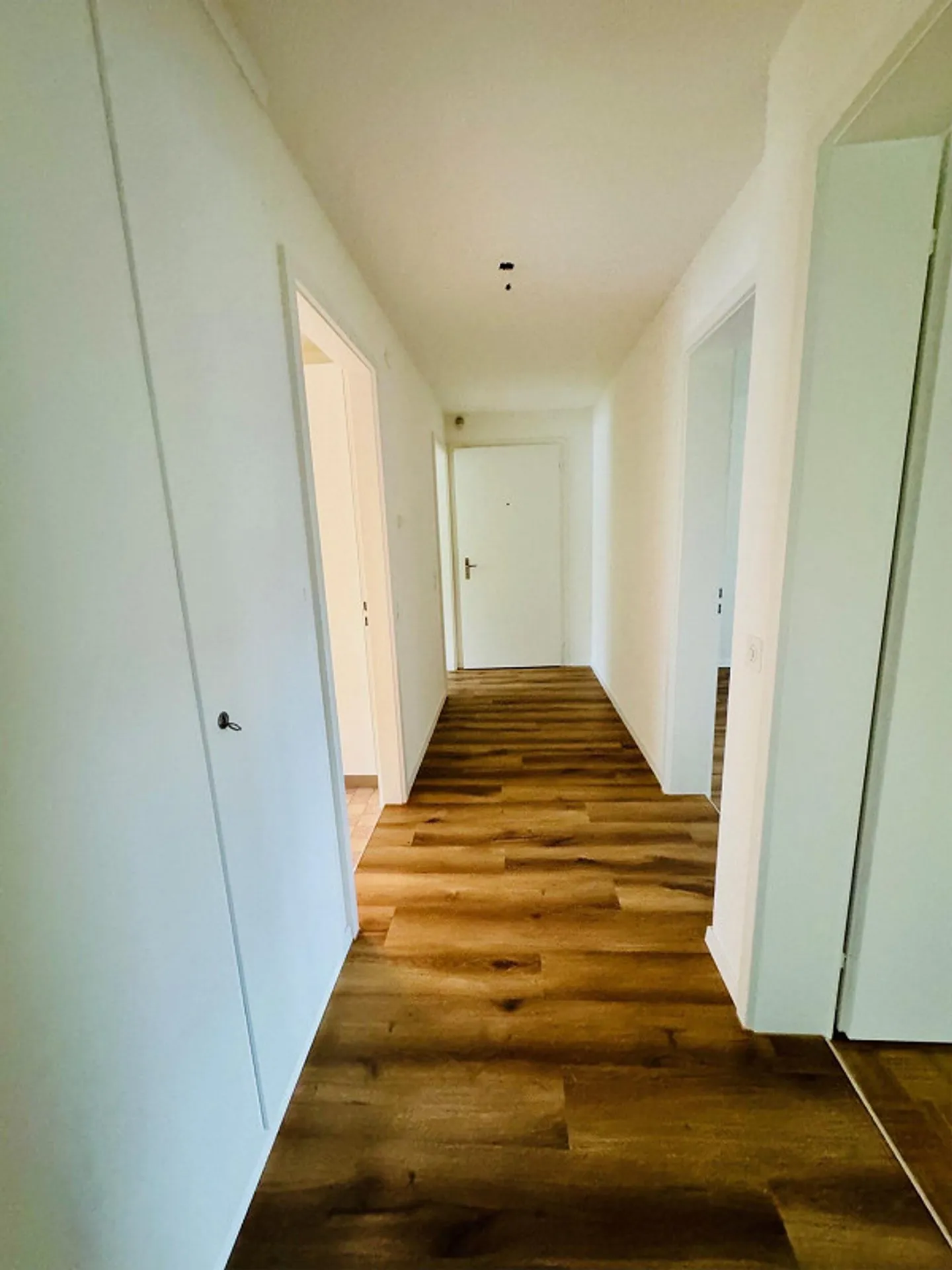 Centrally Located 3-Room Apartment with Balcony - Photo 5 of 9