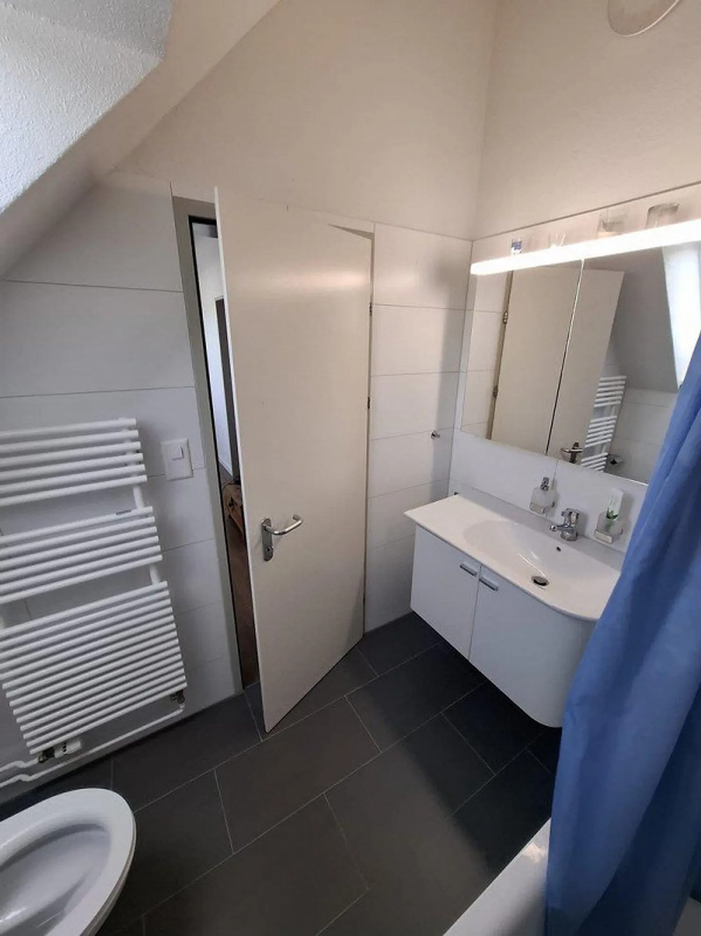 4 ½ Appartement en Attique à St. Gallen Centre à durée limitée - Photo 7 sur 11