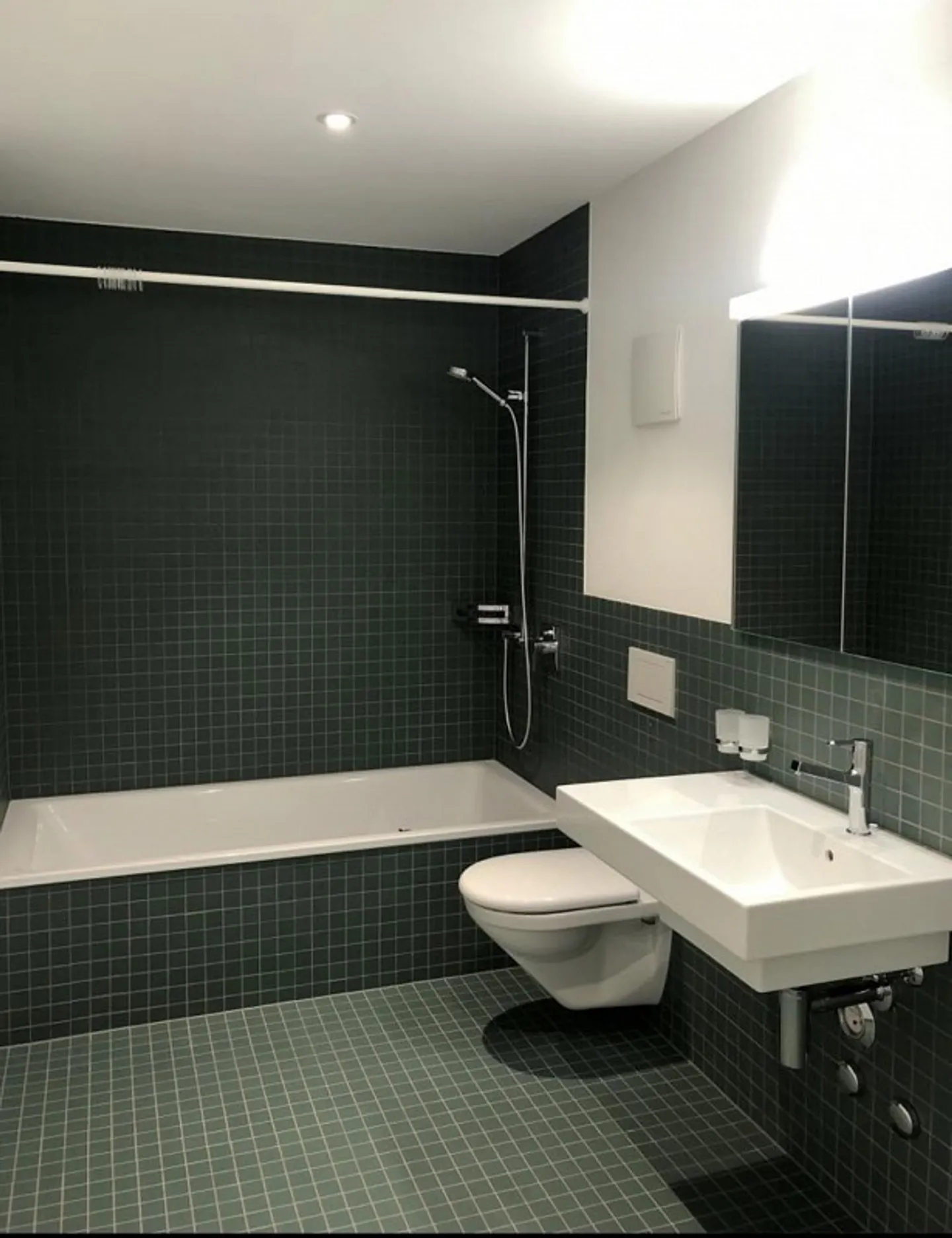 Beautiful 3.5 room apartment for rent - Photo 5 of 8