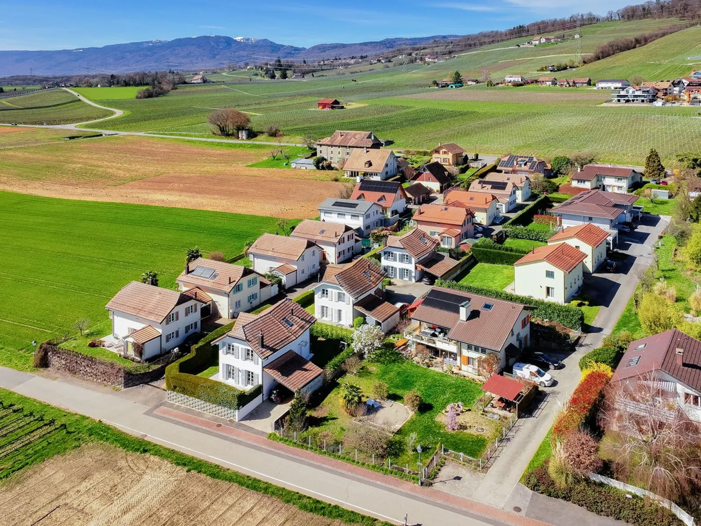 Charmante Villa in Luins - Foto 6 von 13