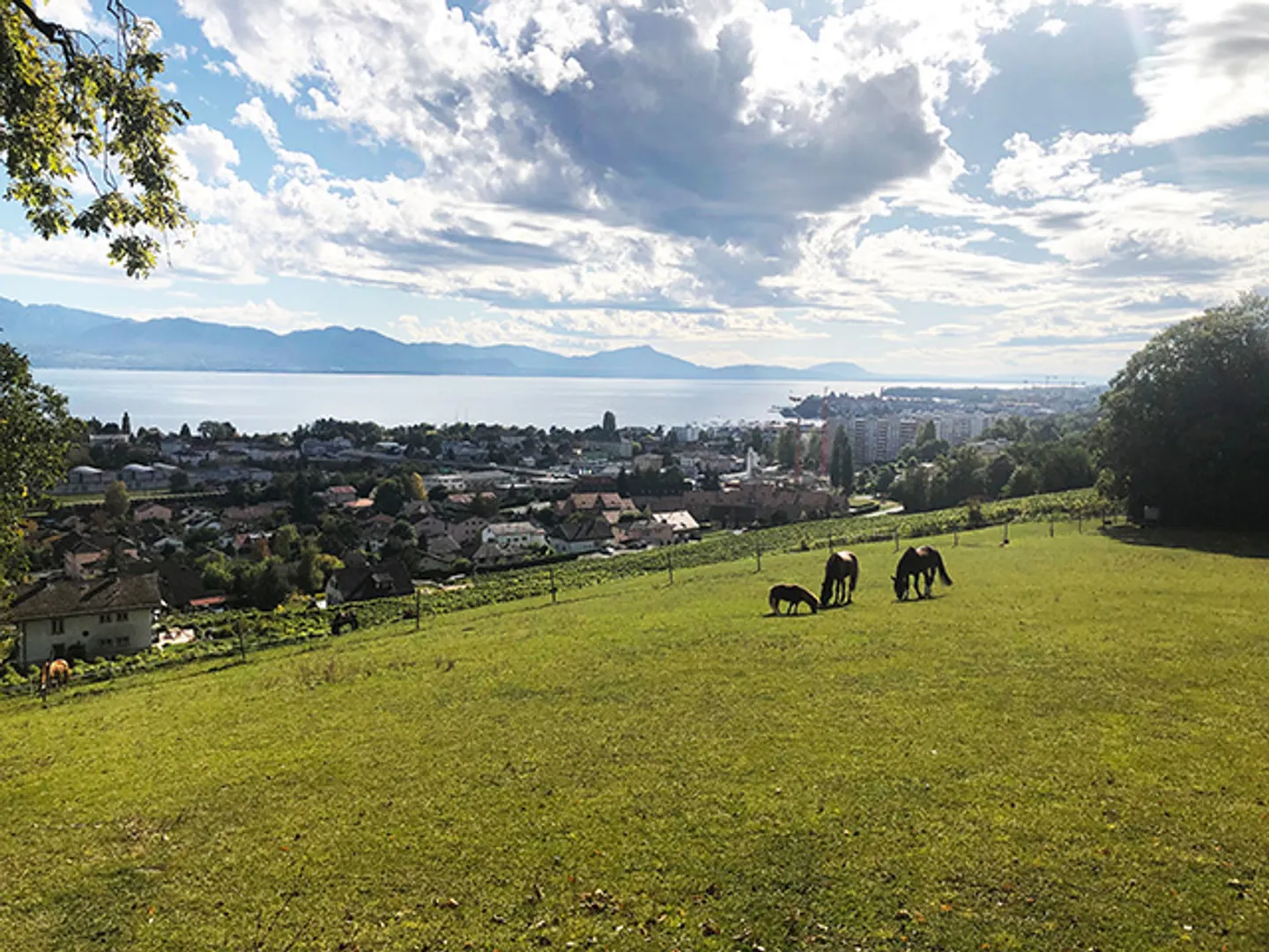 Maison - Photo 1 sur 3