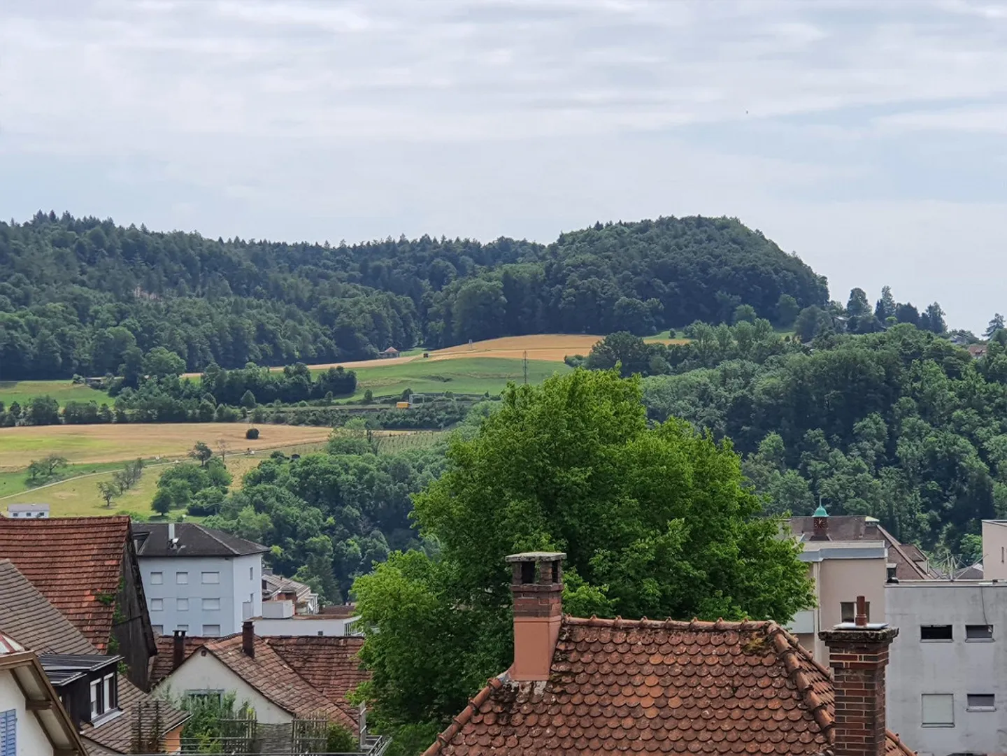 Appartement 3,5 pièces dans un emplacement calme et central à louer - Photo 6 sur 23