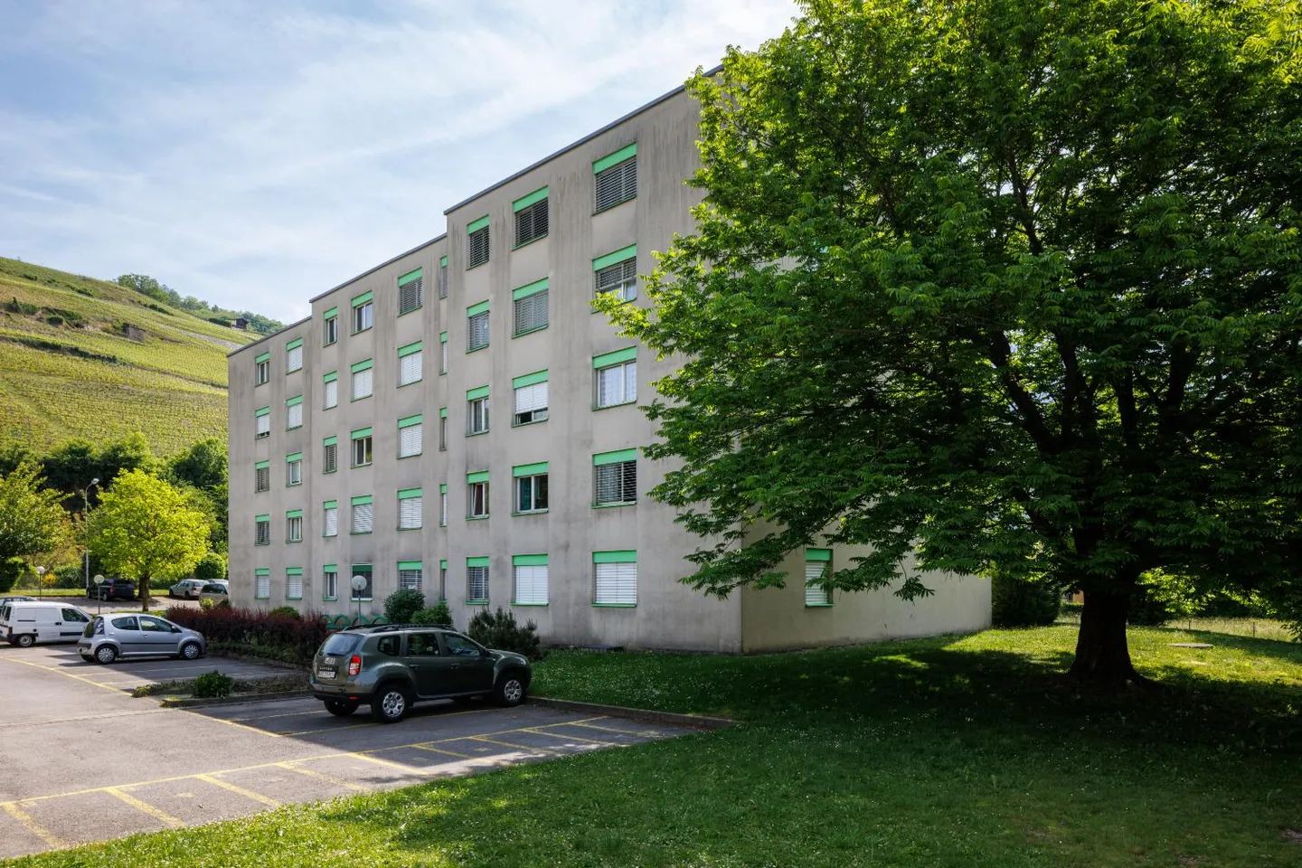 3.5 Room Apartment - Photo 2 of 3