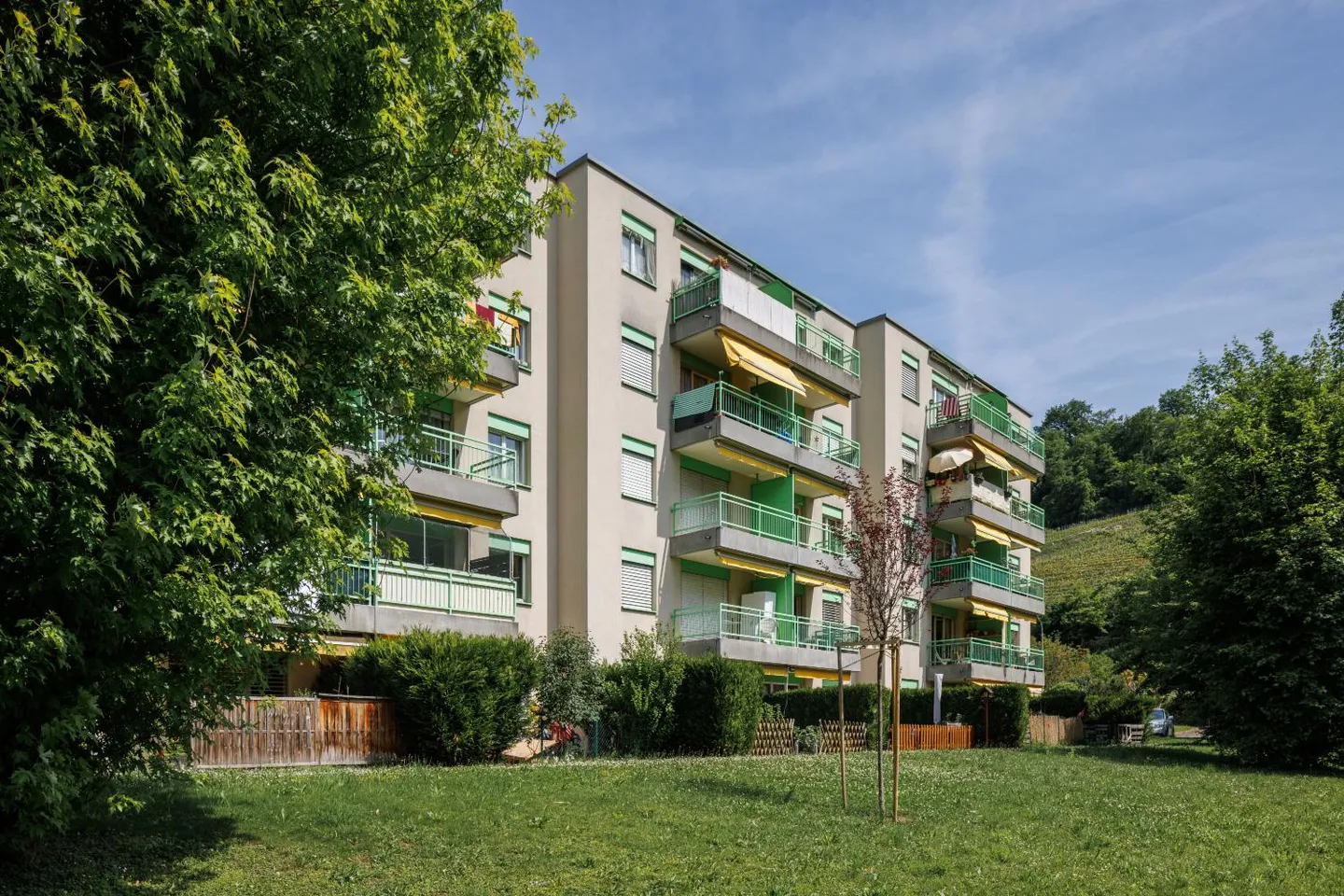 3.5 Room Apartment - Photo 3 of 3