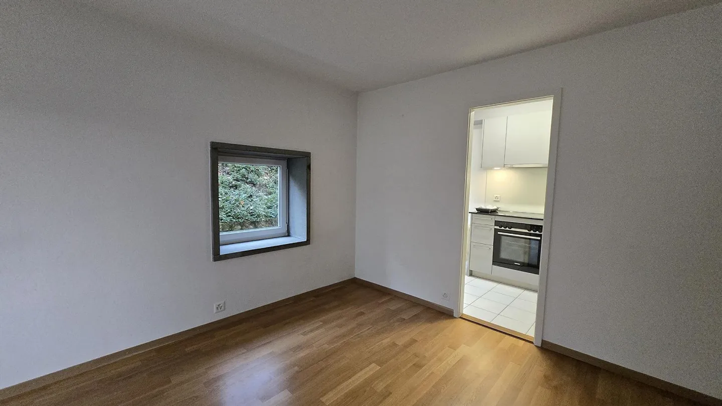 Belle appartement de 1,5 pièce directement au Bireggwald - Photo 2 sur 11