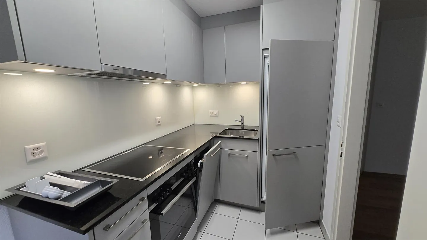Belle appartement de 1,5 pièce directement au Bireggwald - Photo 5 sur 11