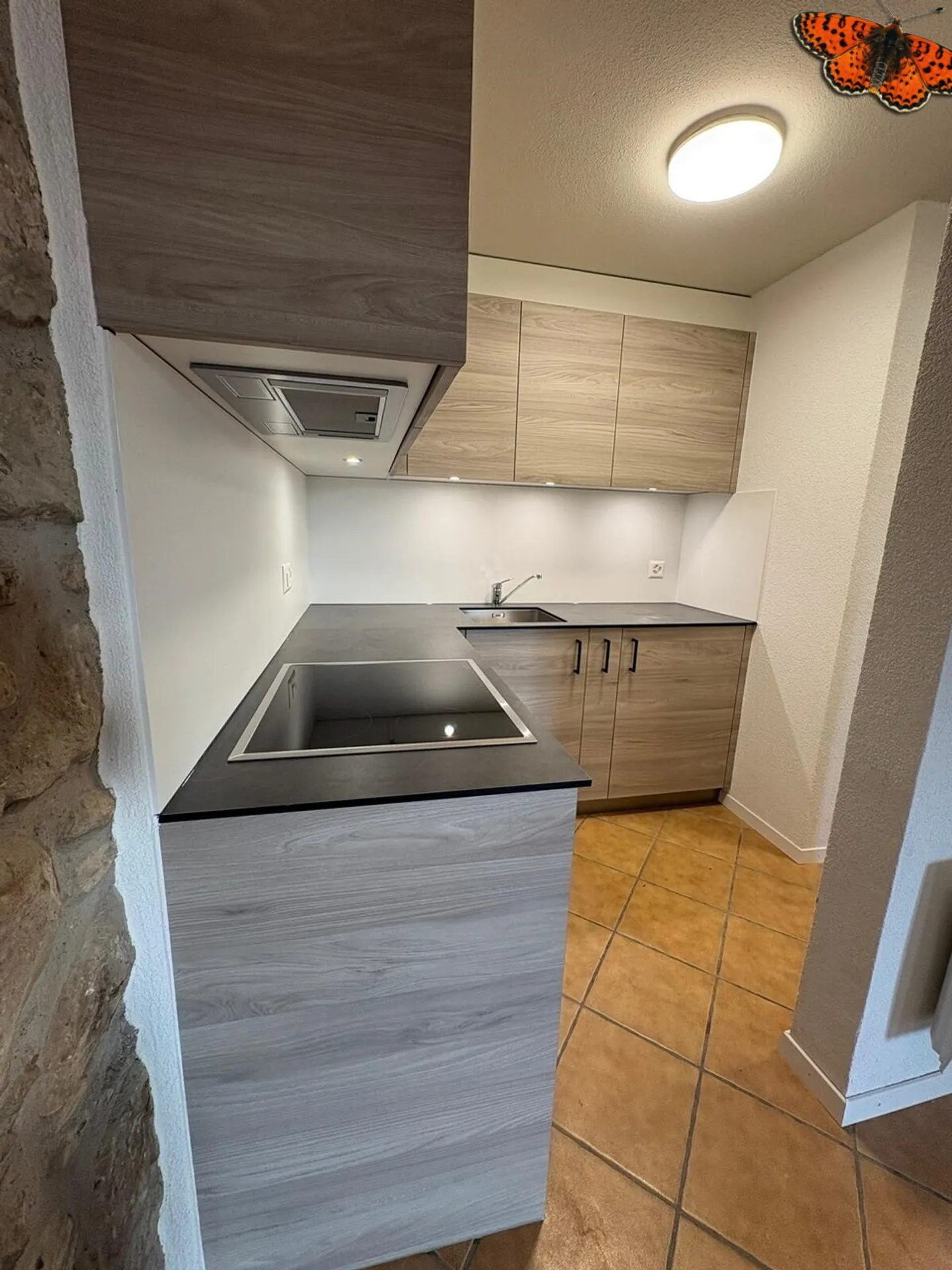Appartamento duplex di 2 ½ locali a Romont! - Foto 3 di 10