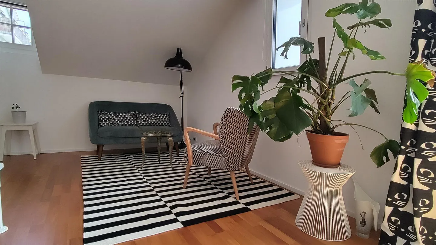 Limited rental: Beautiful and furnished attic apartment (loft) - Photo 3 of 10