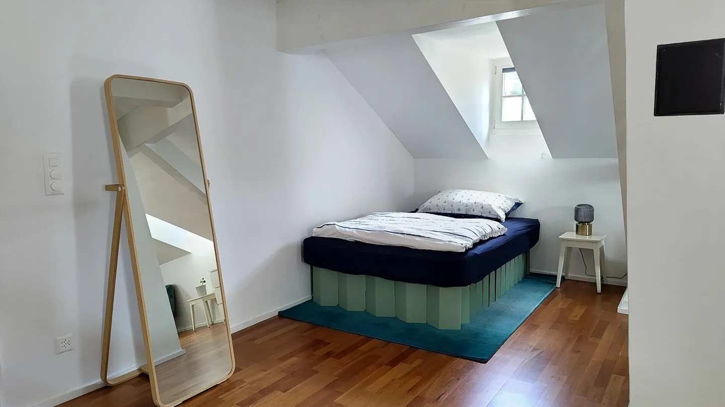 Limited rental: Beautiful and furnished attic apartment (loft) - Photo 5 of 10