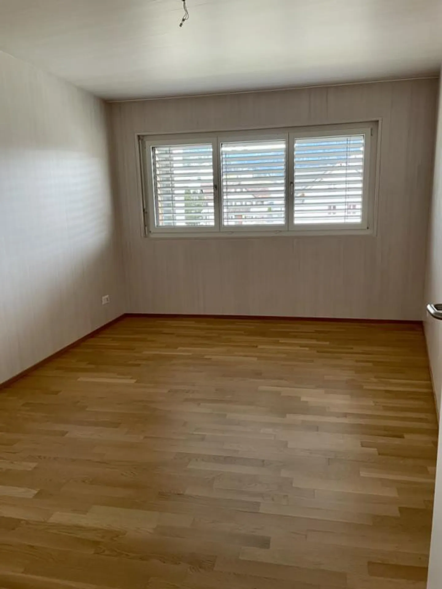 Luminoso, soleggiato, al di sopra della linea di nebbia - Foto 6 di 10