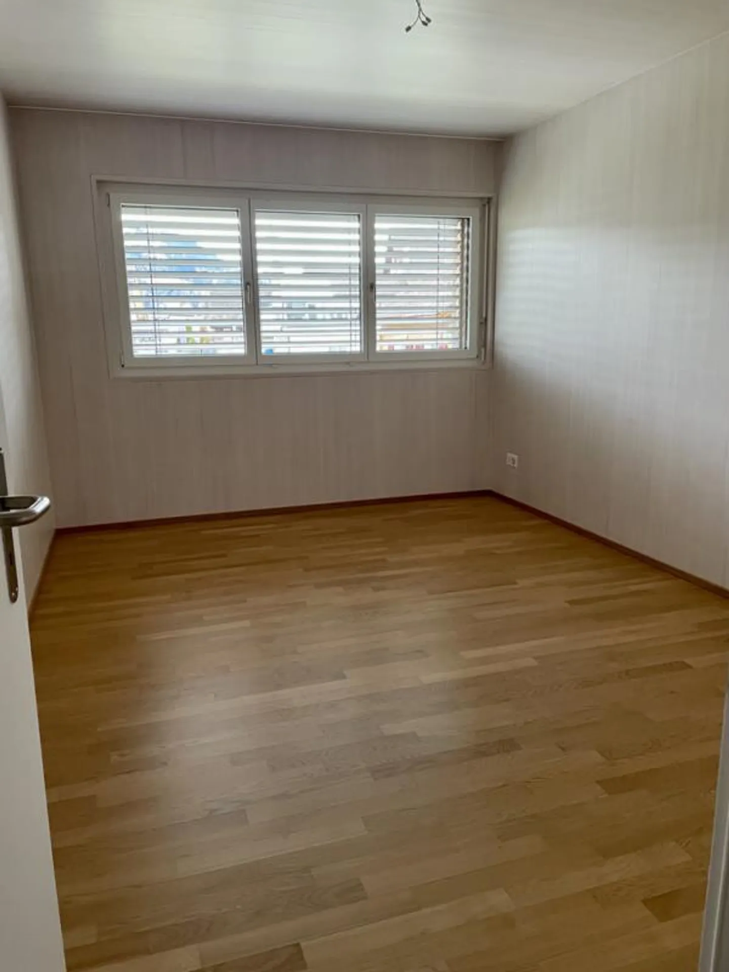 Luminoso, soleggiato, al di sopra della linea di nebbia - Foto 7 di 10