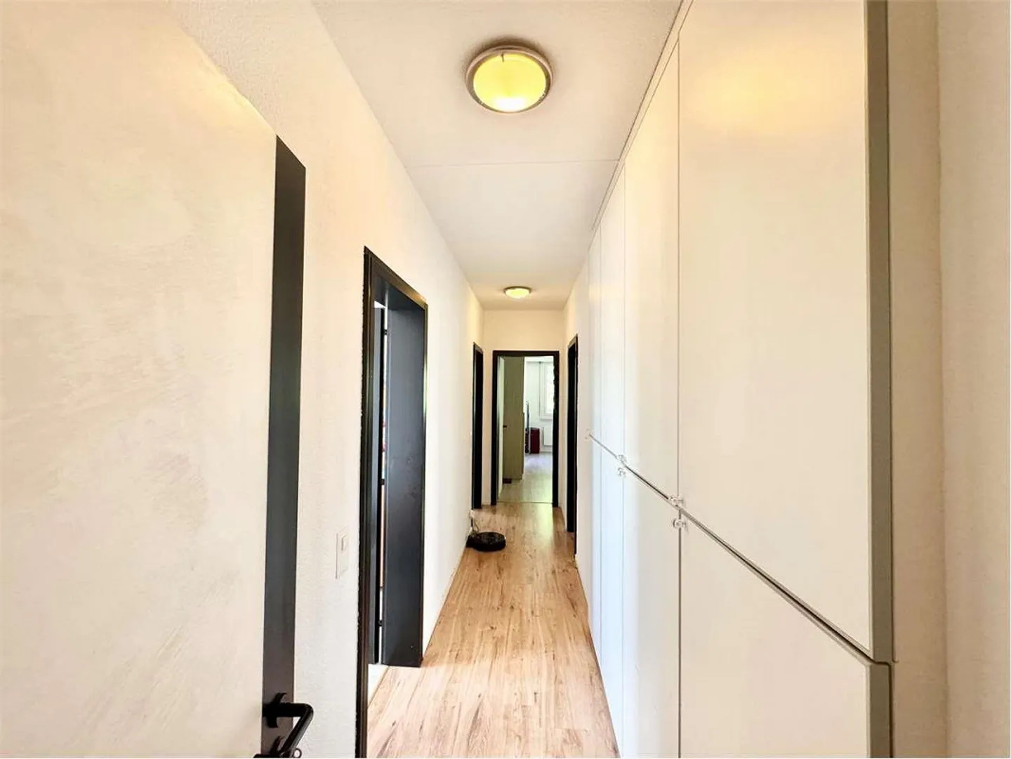 Bright 4.5 Apartment for Rent in Pregassona in Residential Area - Photo 6 of 11
