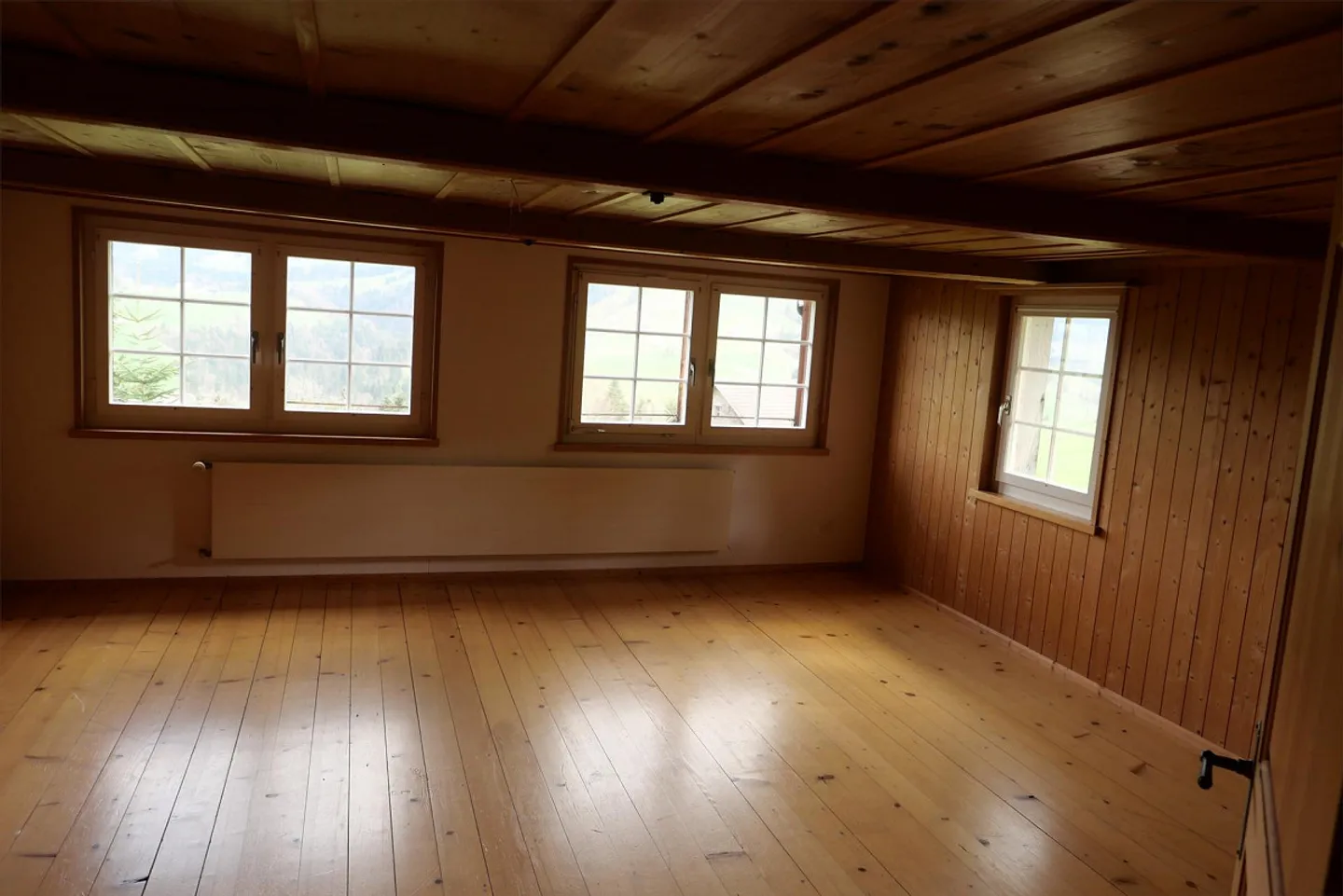 For Sale Toggenburg Farmhouse in Beautiful Location - Photo 11 of 18