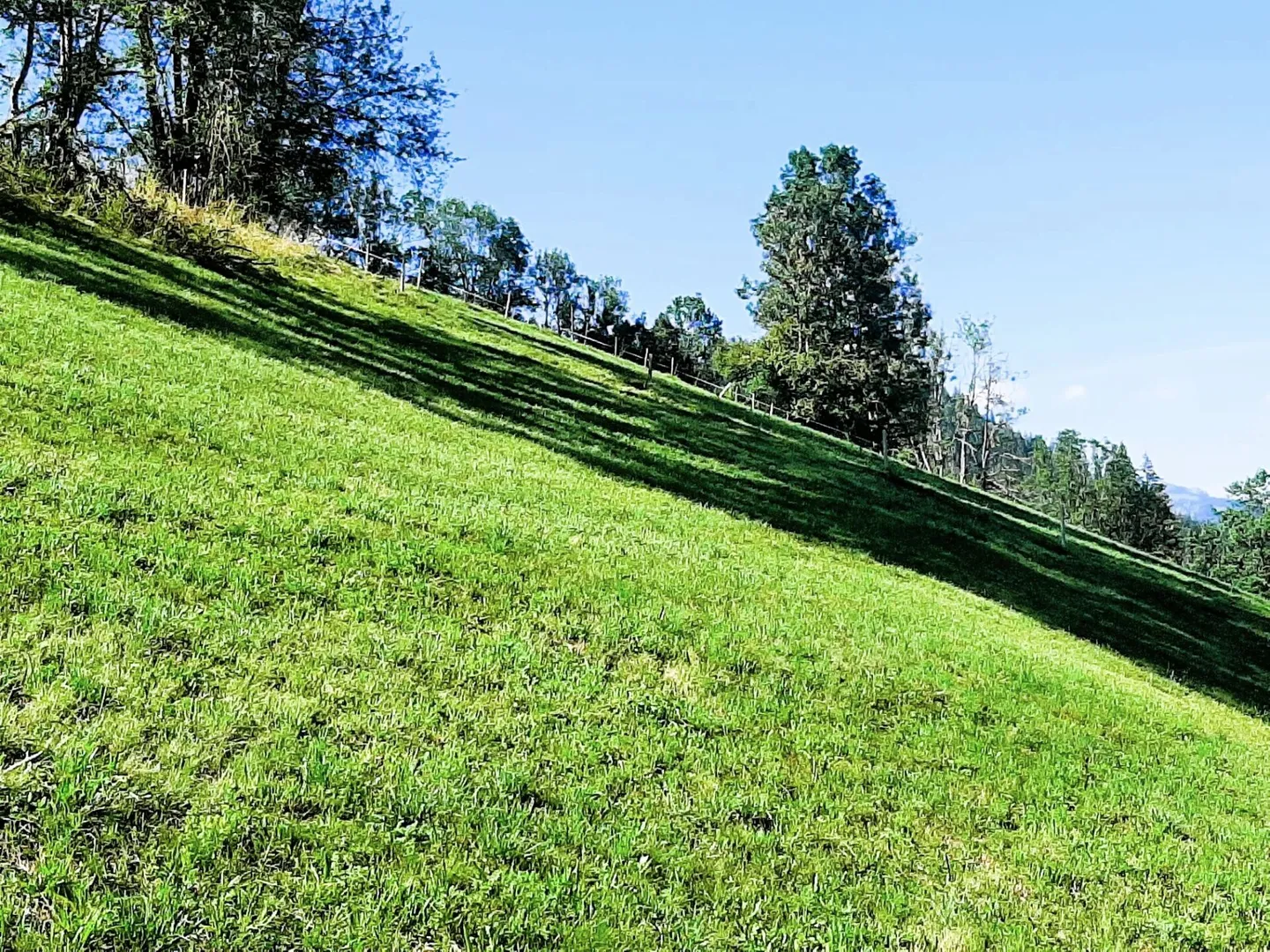 Terreno edificabile parzialmente sviluppato in posizione soleggiata a Zweisimmen BE - Foto 1 di 10