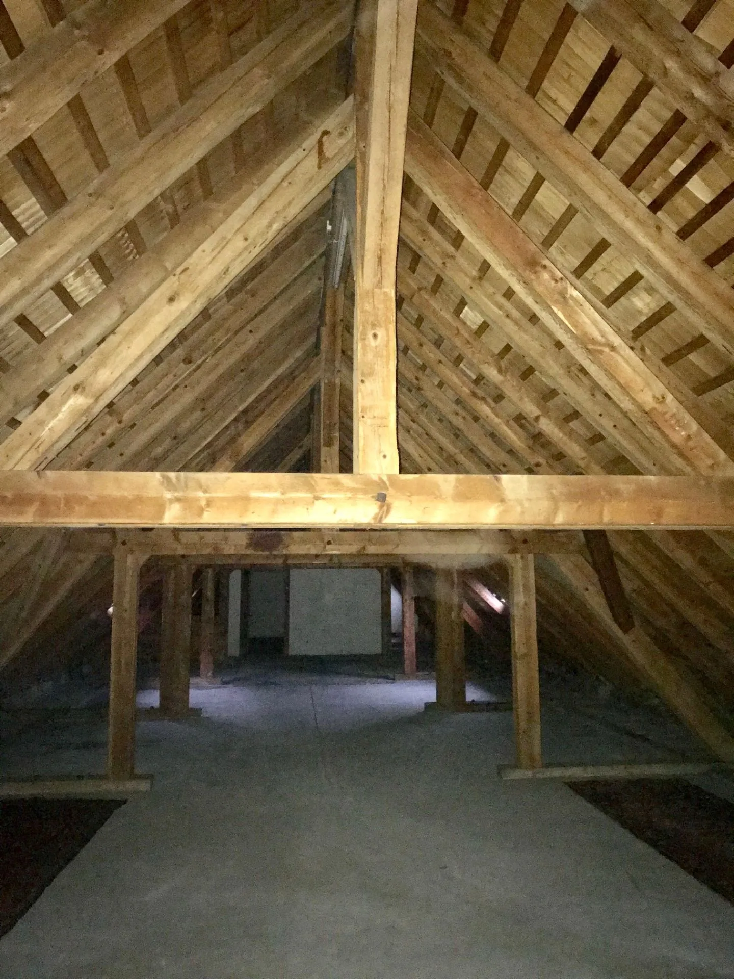 Attic Storage Commercial Space - Photo 1 of 2
