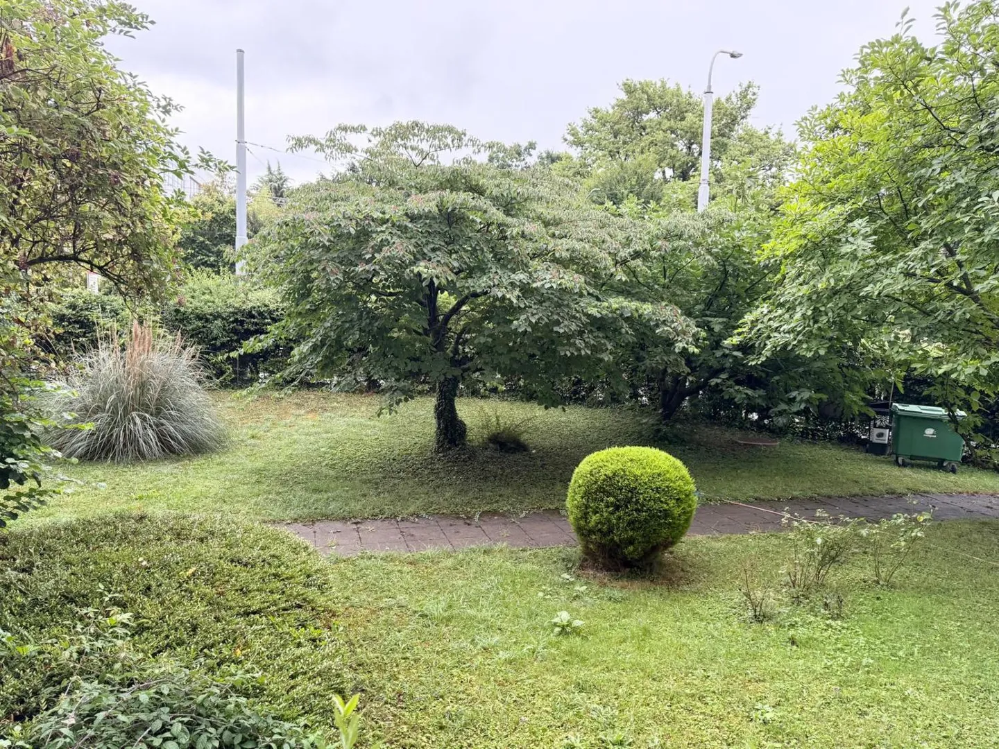 Renovated Apartment in Petit-Saconnex - Photo 13 of 13