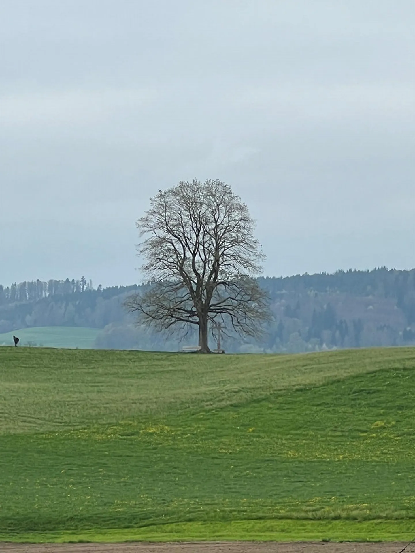 Vivere al centro nel bel Michelsamt - Appartamento attico - Foto 1 di 13