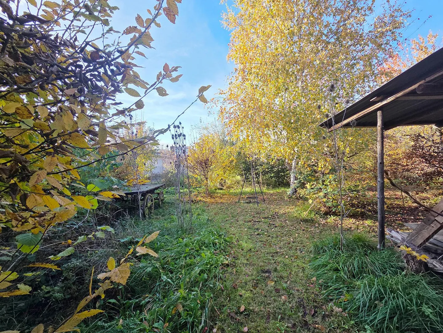 Former 6-Room Farmhouse with Outbuilding (Development Potential) - Photo 6 of 15