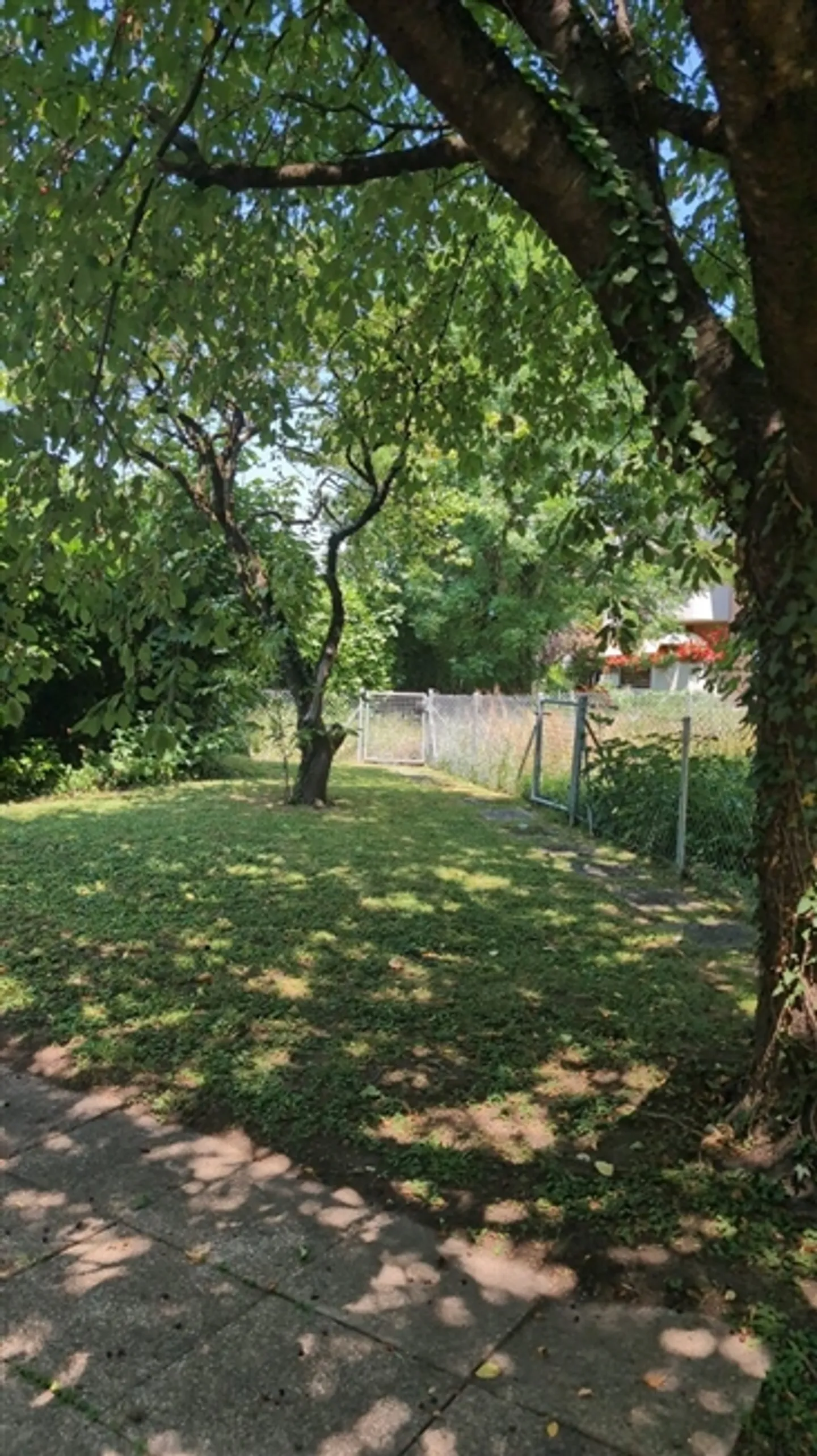 Vegetable Garden - Photo 1 of 1