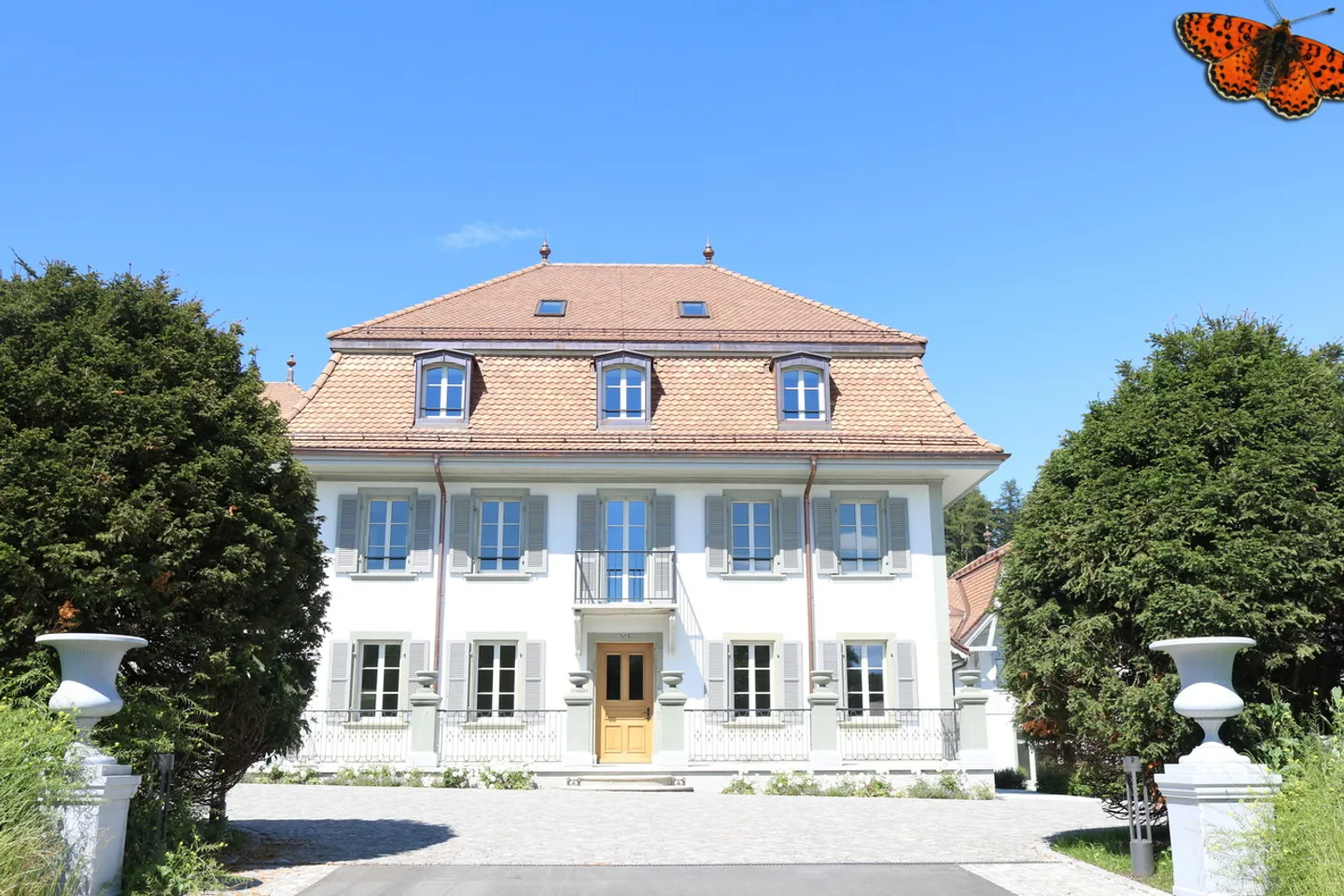 Charmante Wohnung mit Offener Küche - Foto 2 von 10
