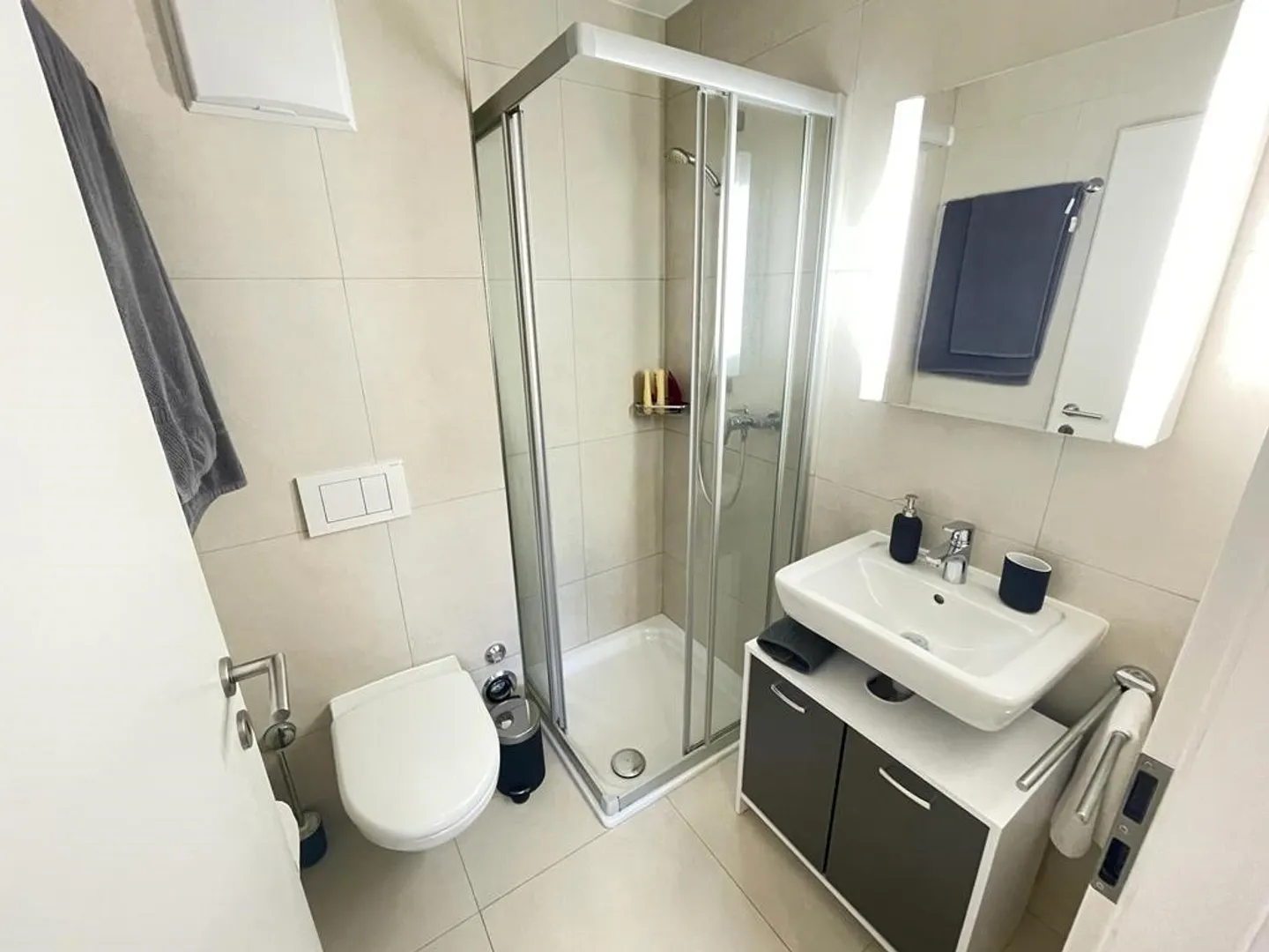 4.5 Room Apartment with Pool in the Heart of Gland - Photo 7 of 10