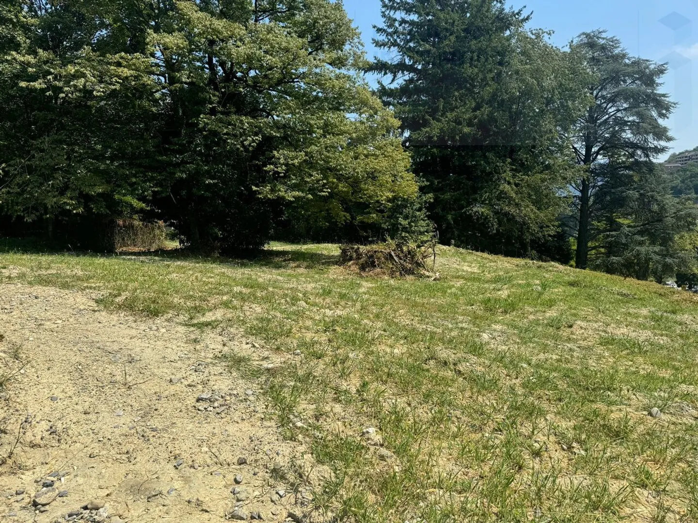 BUILDABLE LAND IN EXCELLENT LOCATION - Photo 5 of 10