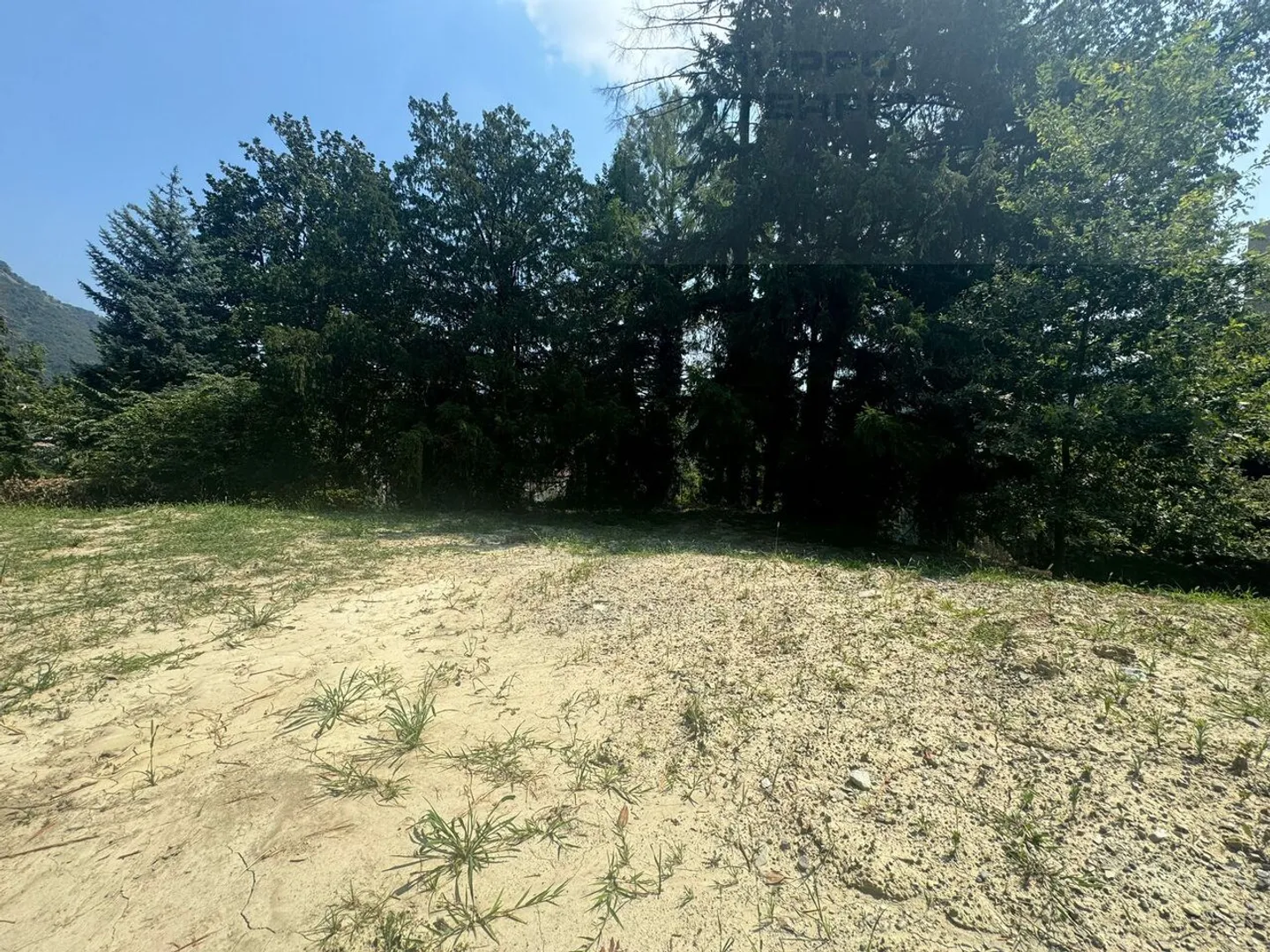 BUILDABLE LAND IN EXCELLENT LOCATION - Photo 6 of 10