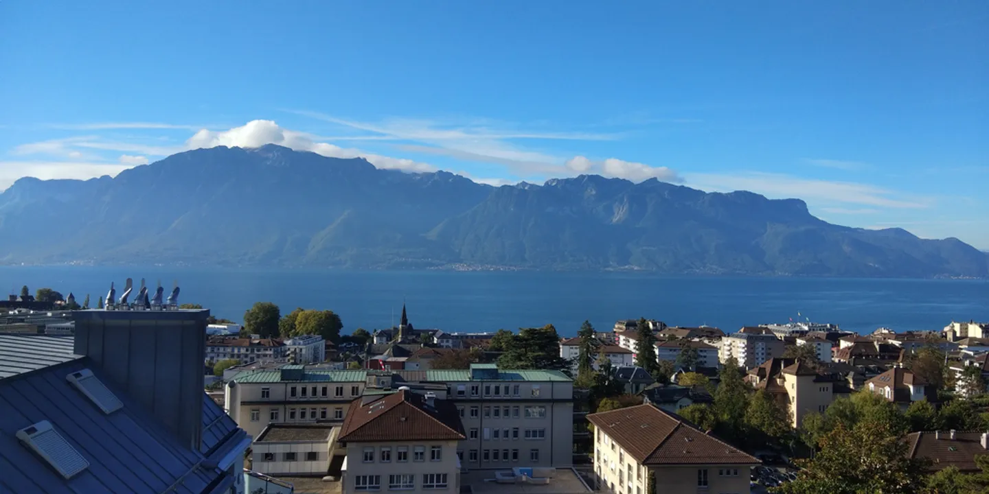 3.5 Room Apartment - Photo 11 of 12