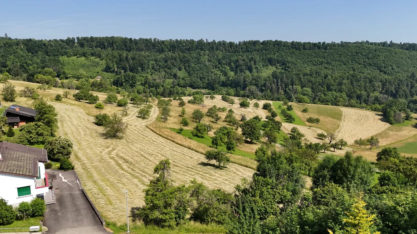 Terrain à bâtir avec vue - Photo 4 sur 6