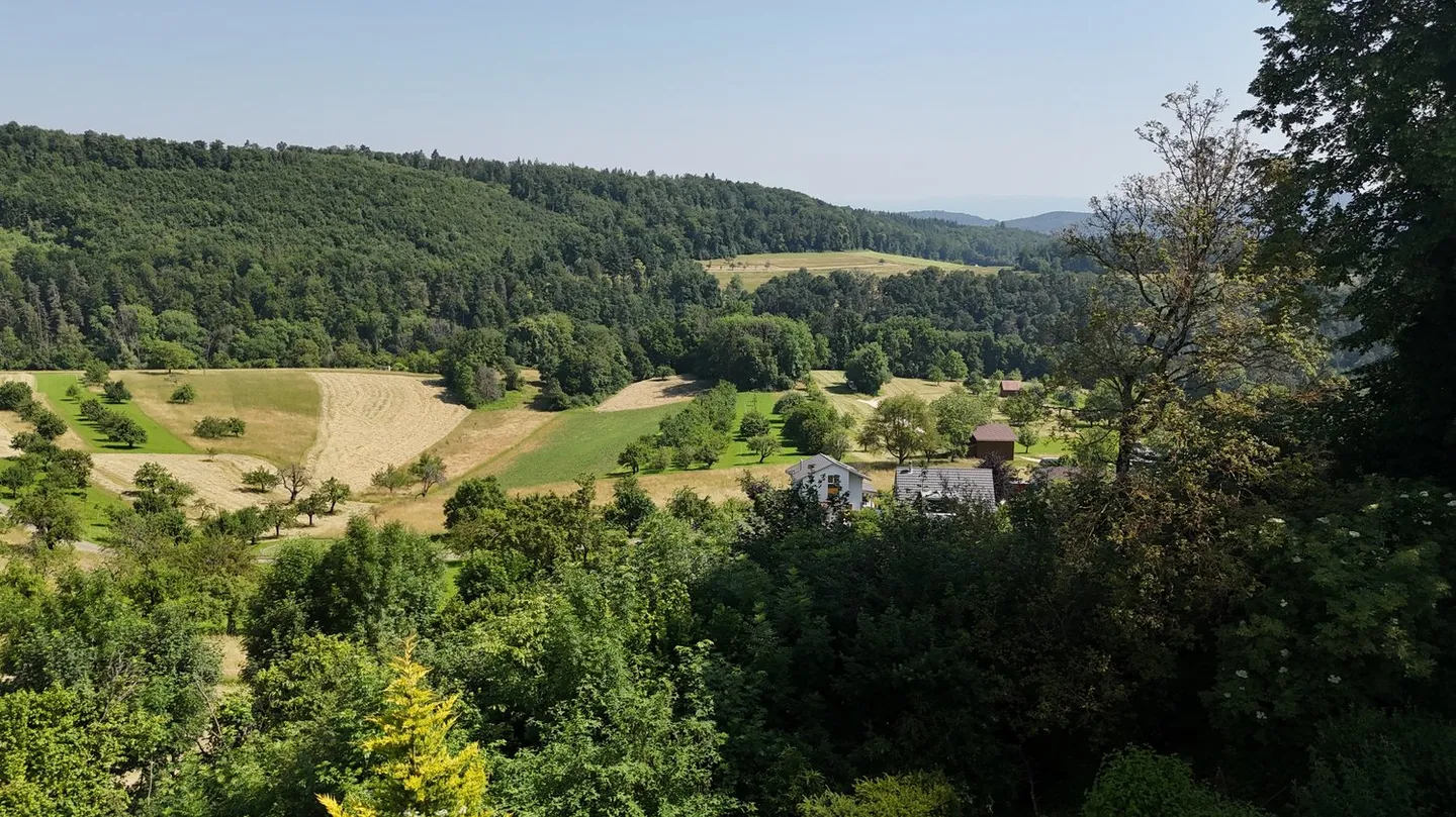 Terrain à bâtir avec vue - Photo 5 sur 6