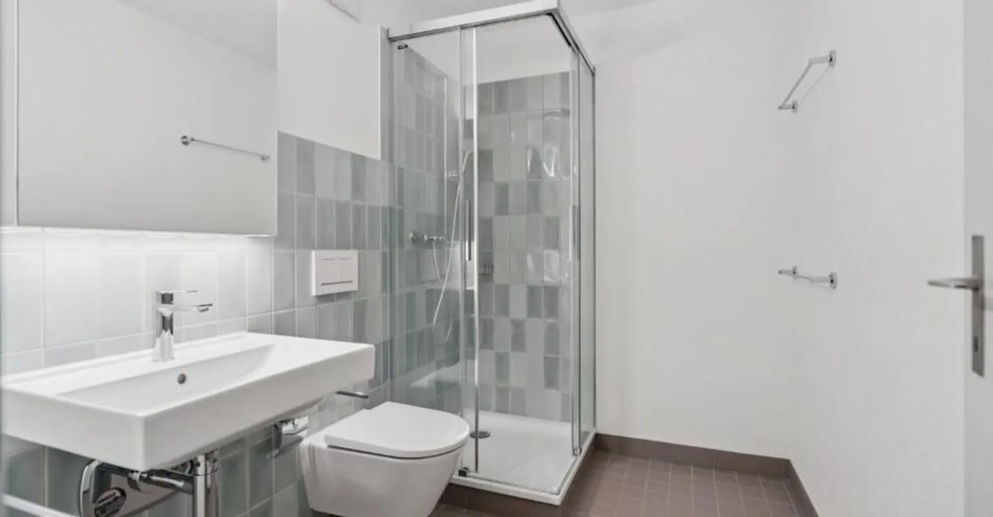Renting without deposit - First occupancy after renovation in a quiet location - Photo 8 of 11