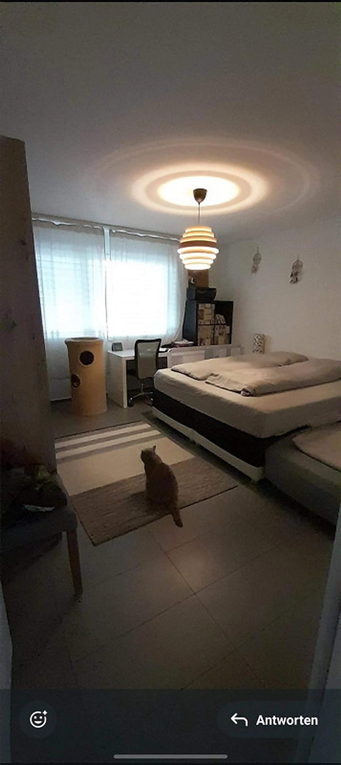 Appartamento di 4,5 stanze a Nottwil - Foto 5 di 11