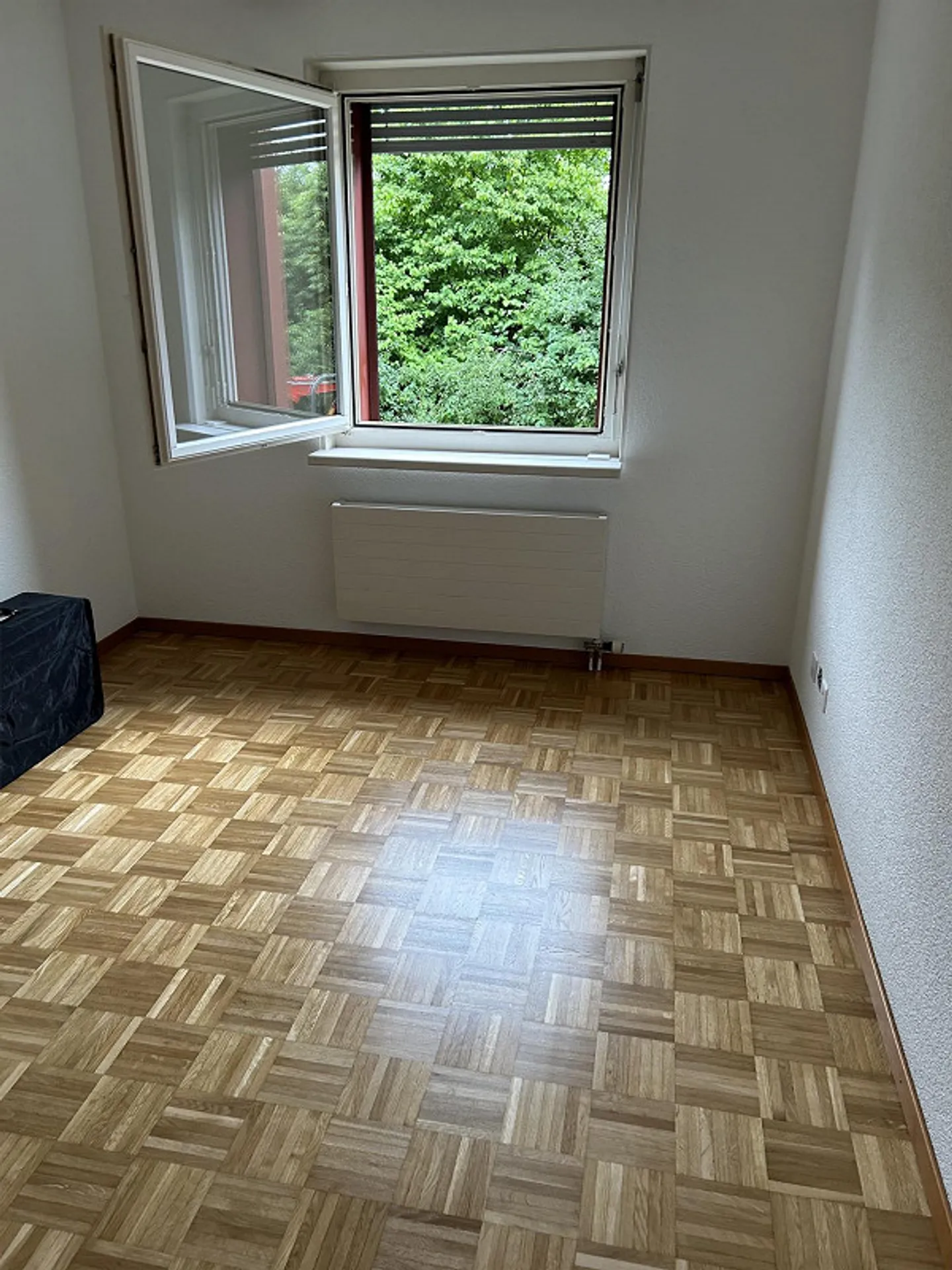 Charming 4.5 Room Apartment - Photo 12 of 15