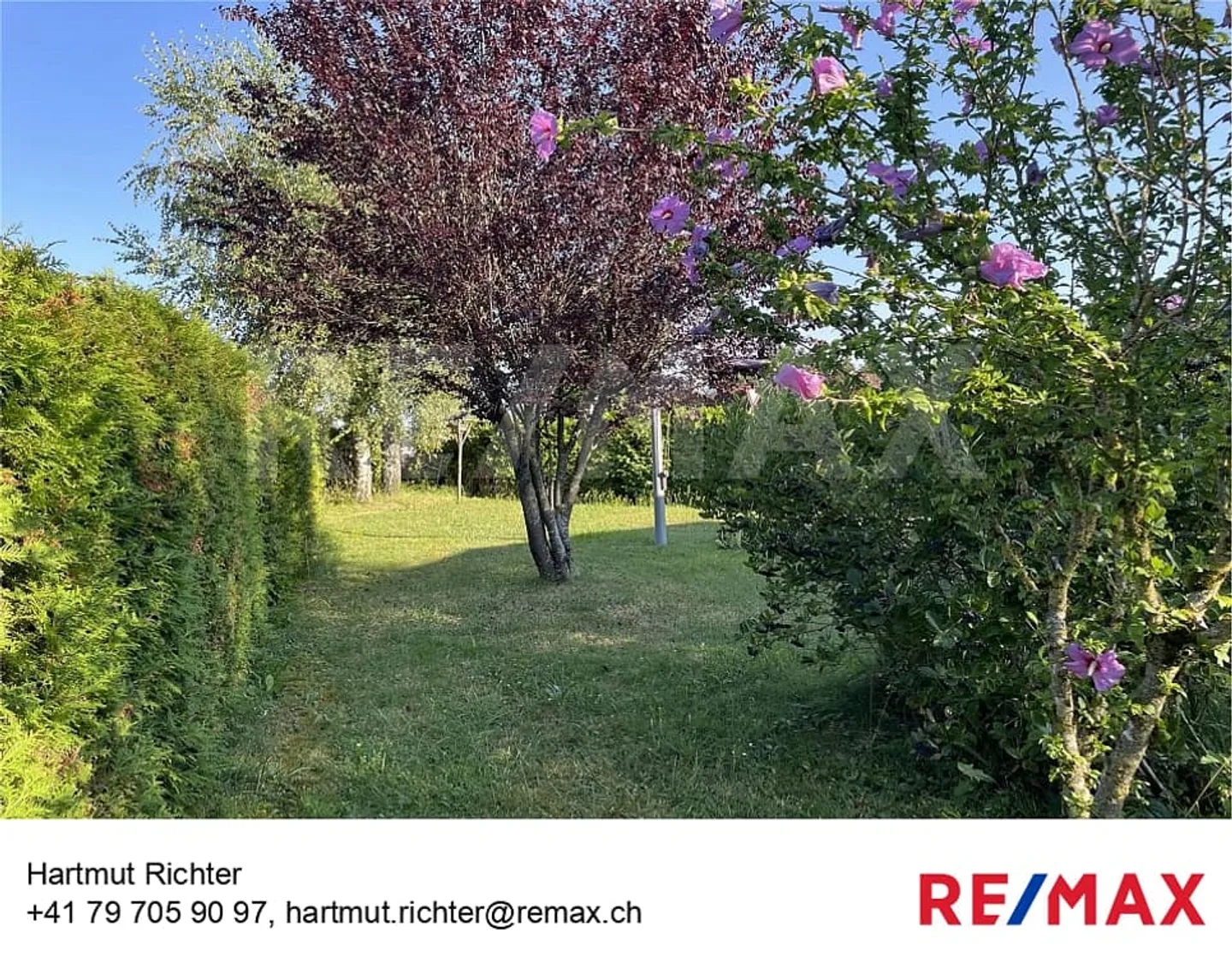 oinpüiompüoüoomoümooop - Photo 1 sur 13