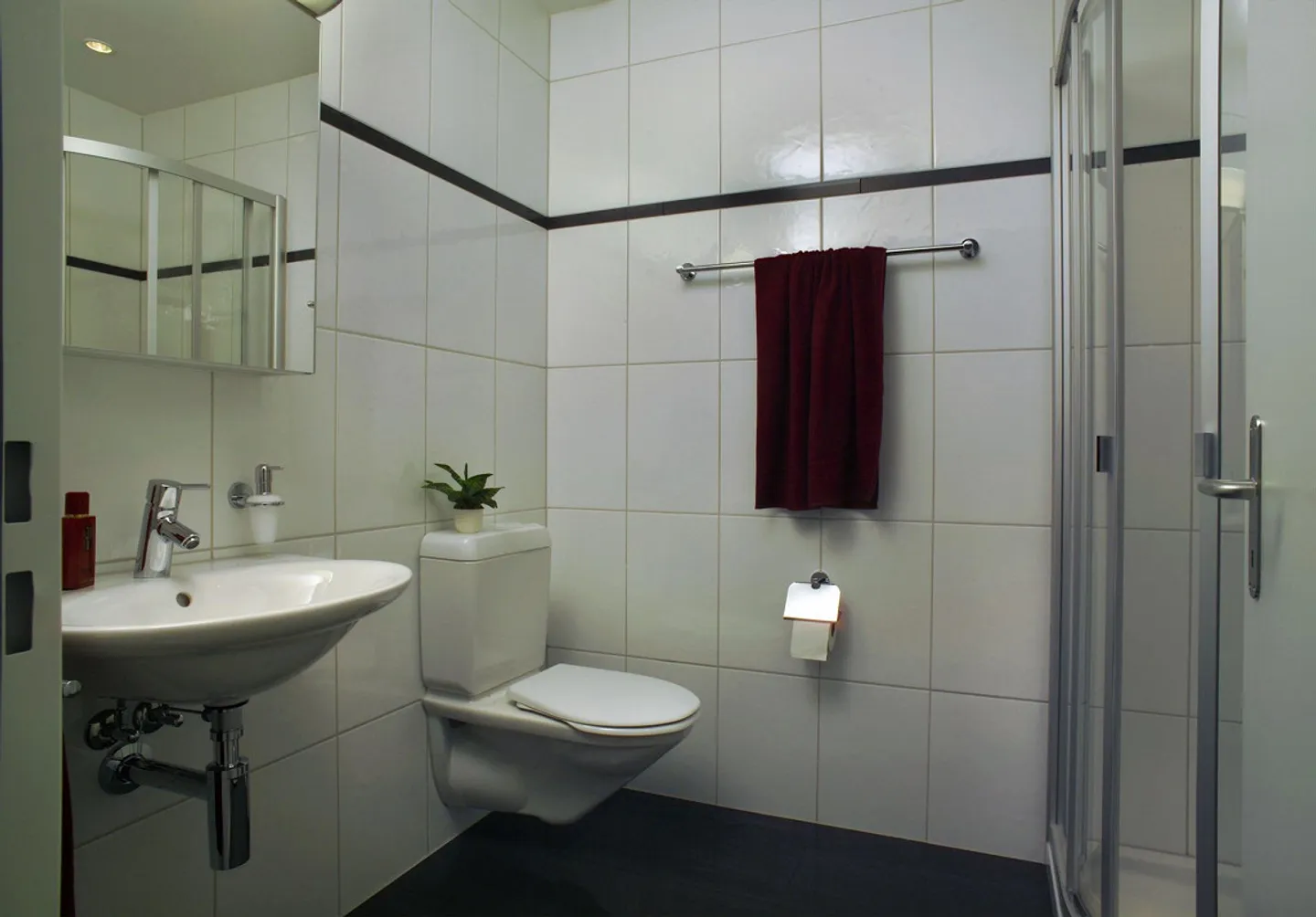 Geräumige Wohnung in Zug - Foto 4 von 5