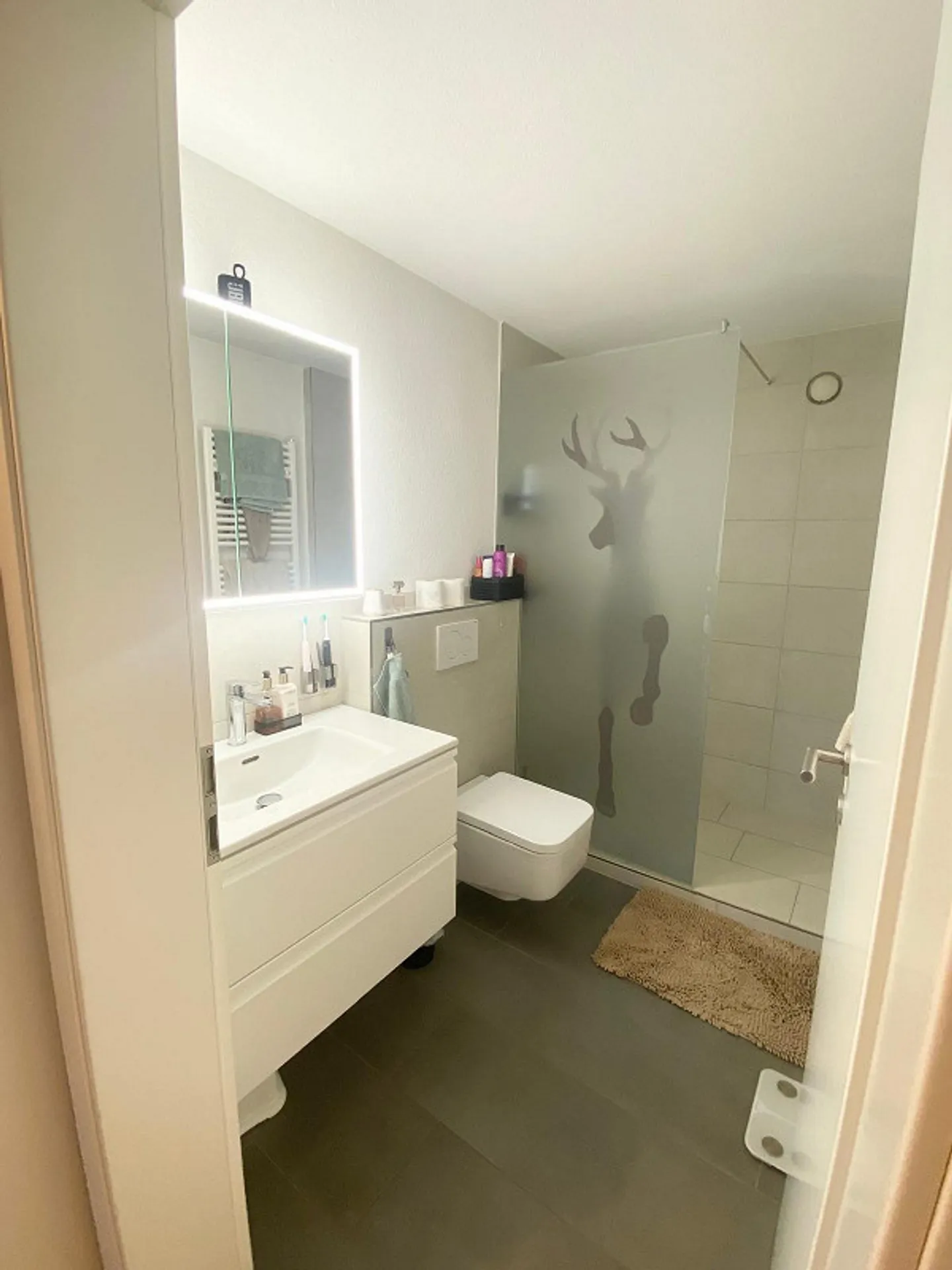 First occupancy after modernization: 4.5-room apartment with south balcony in Löhningen - Photo 13 of 26