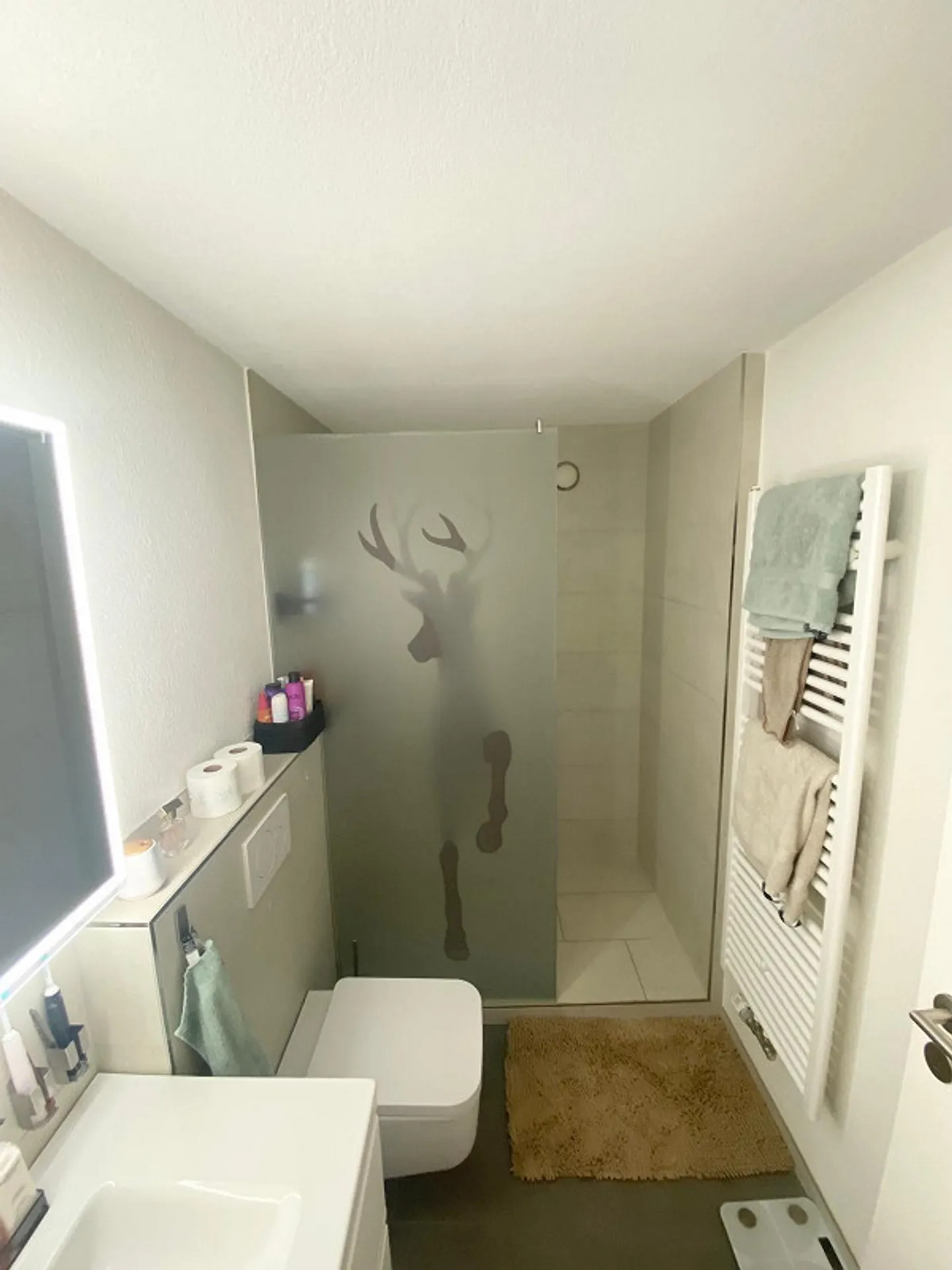 First occupancy after modernization: 4.5-room apartment with south balcony in Löhningen - Photo 14 of 26