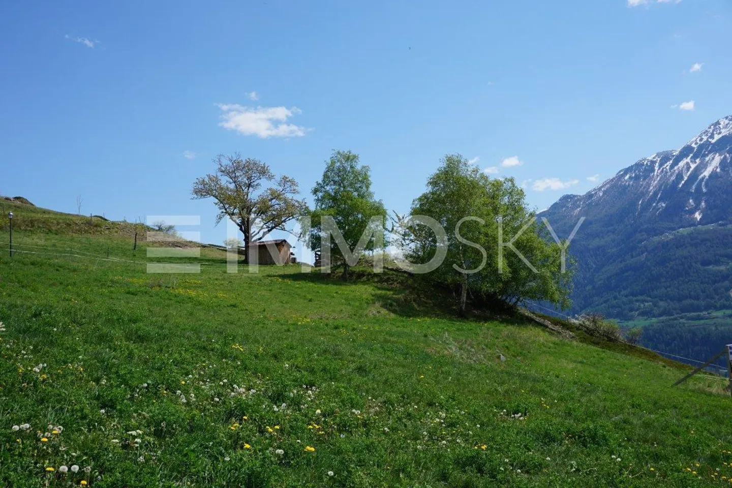 4.5 stanze con terrazza e vista (n. 11a) - Foto 4 di 5