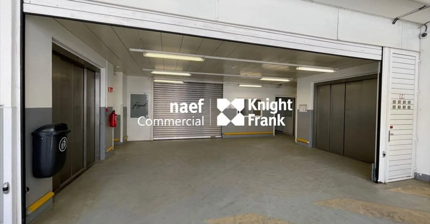 Fläche von 283 m² in der Industriezone von Vernier - Foto 2 von 3