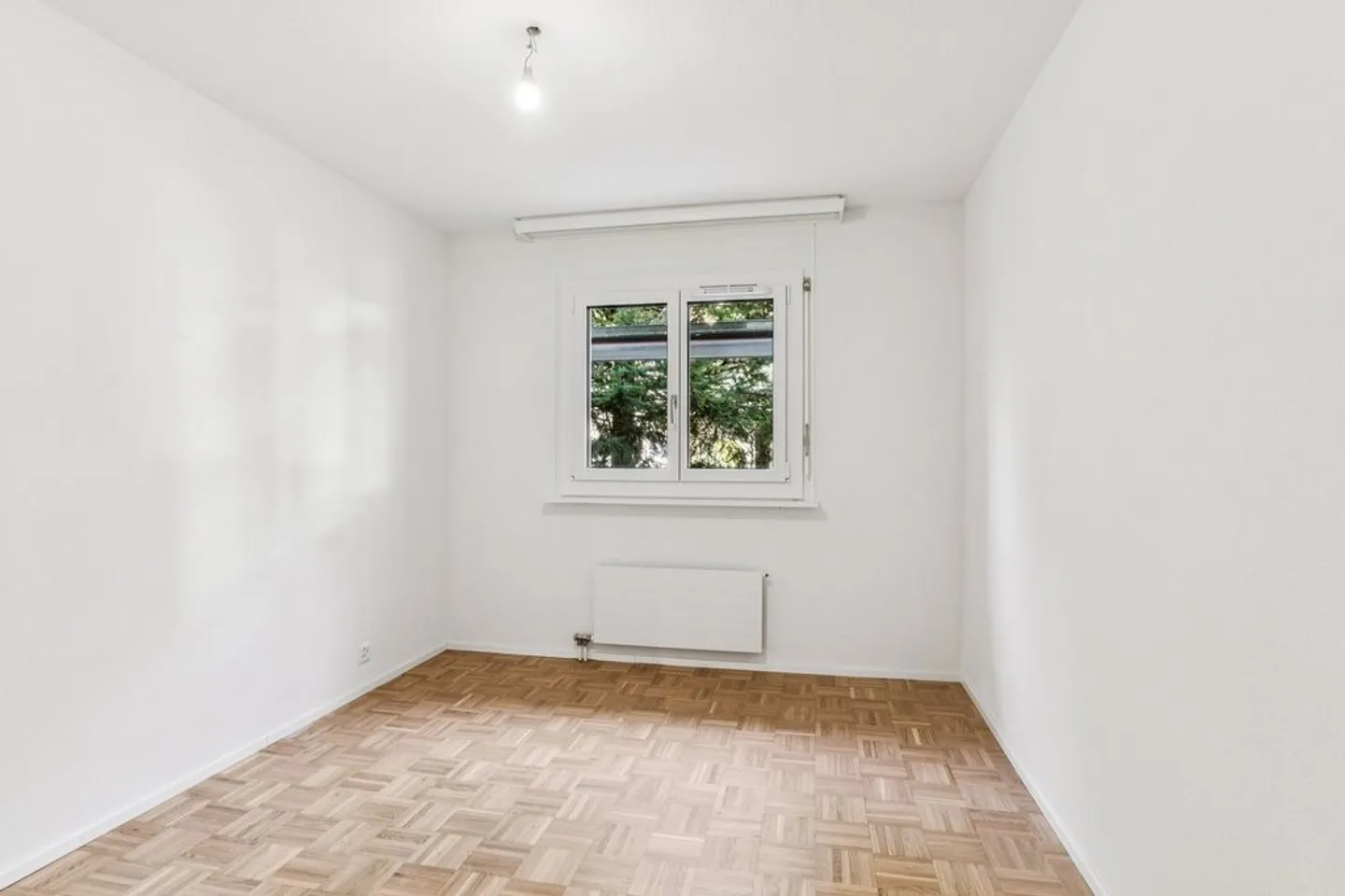 Visita di gruppo mercoledì 22 aprile 2026 dalle 10:30 alle 11:30 - Foto 5 di 10