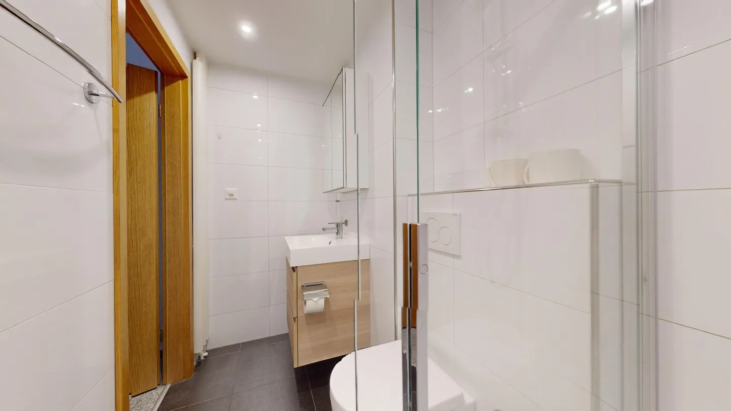 Unique Serviced Living @ Basilea SBB / Gundeldingen - Foto 8 di 9