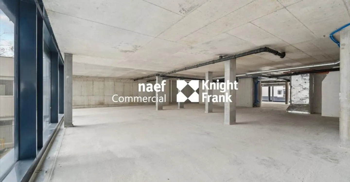 Spazio ufficio in affitto - Foto 4 di 13