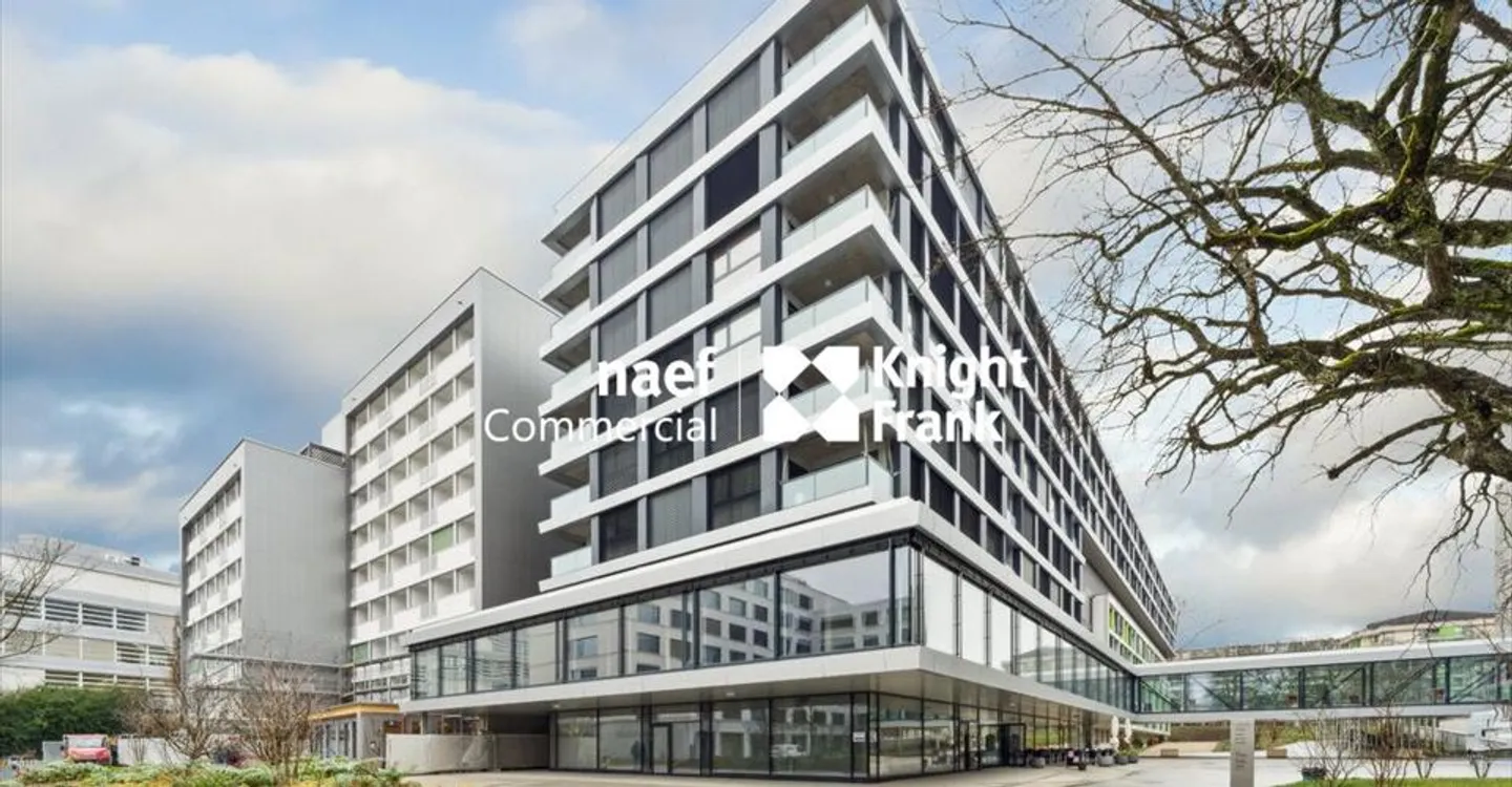 Spazio ufficio in affitto - Foto 6 di 13