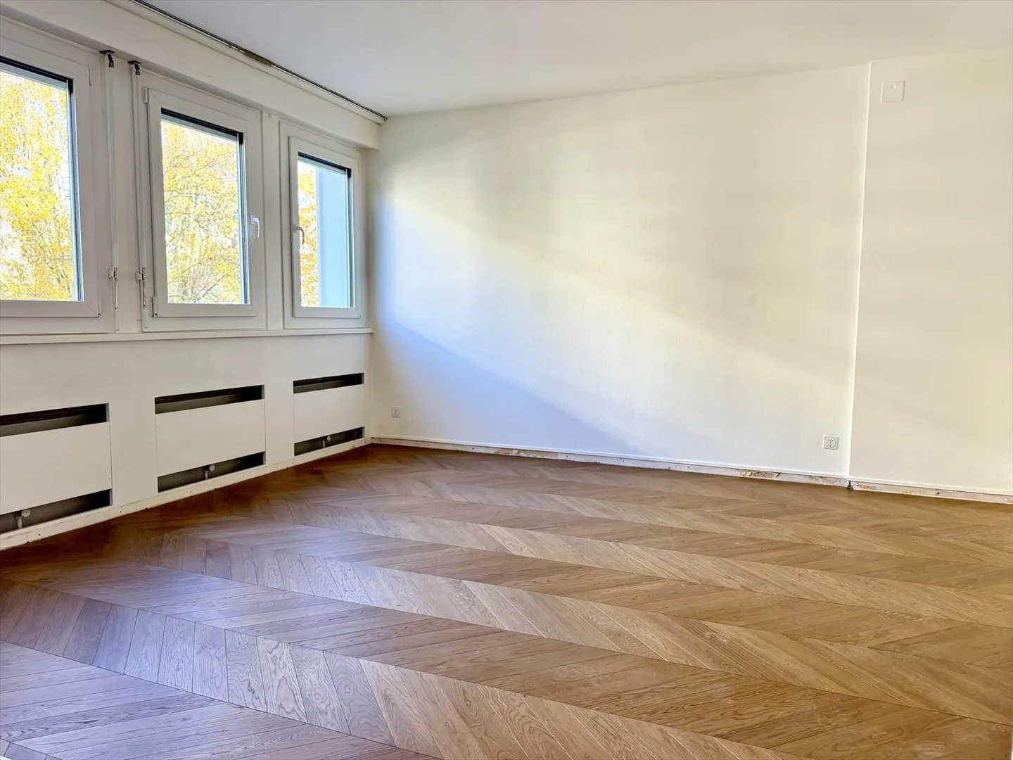 Appartement 7.5 pièces - Photo 7 sur 12