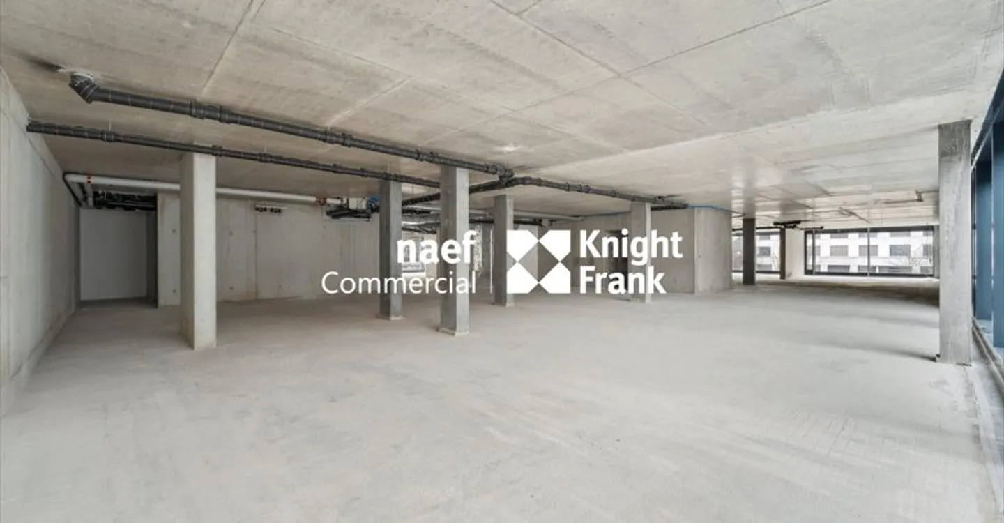 Spazio ufficio in affitto - Foto 7 di 13