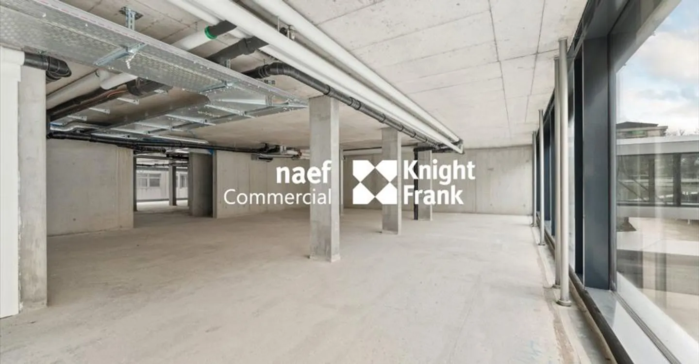 Spazio ufficio in affitto - Foto 8 di 13