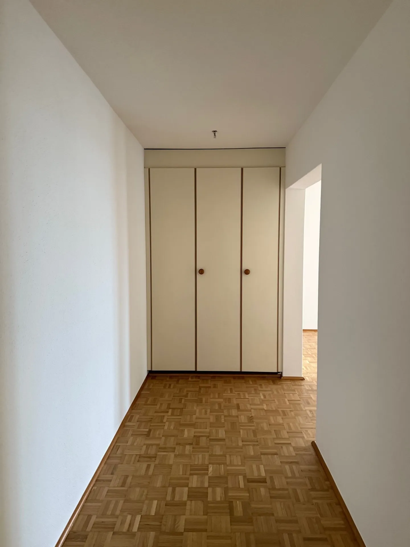 Bella appartamento di 4.5 stanze in una posizione molto conveniente e tranquilla con vista sui vigneti - Foto 9 di 12