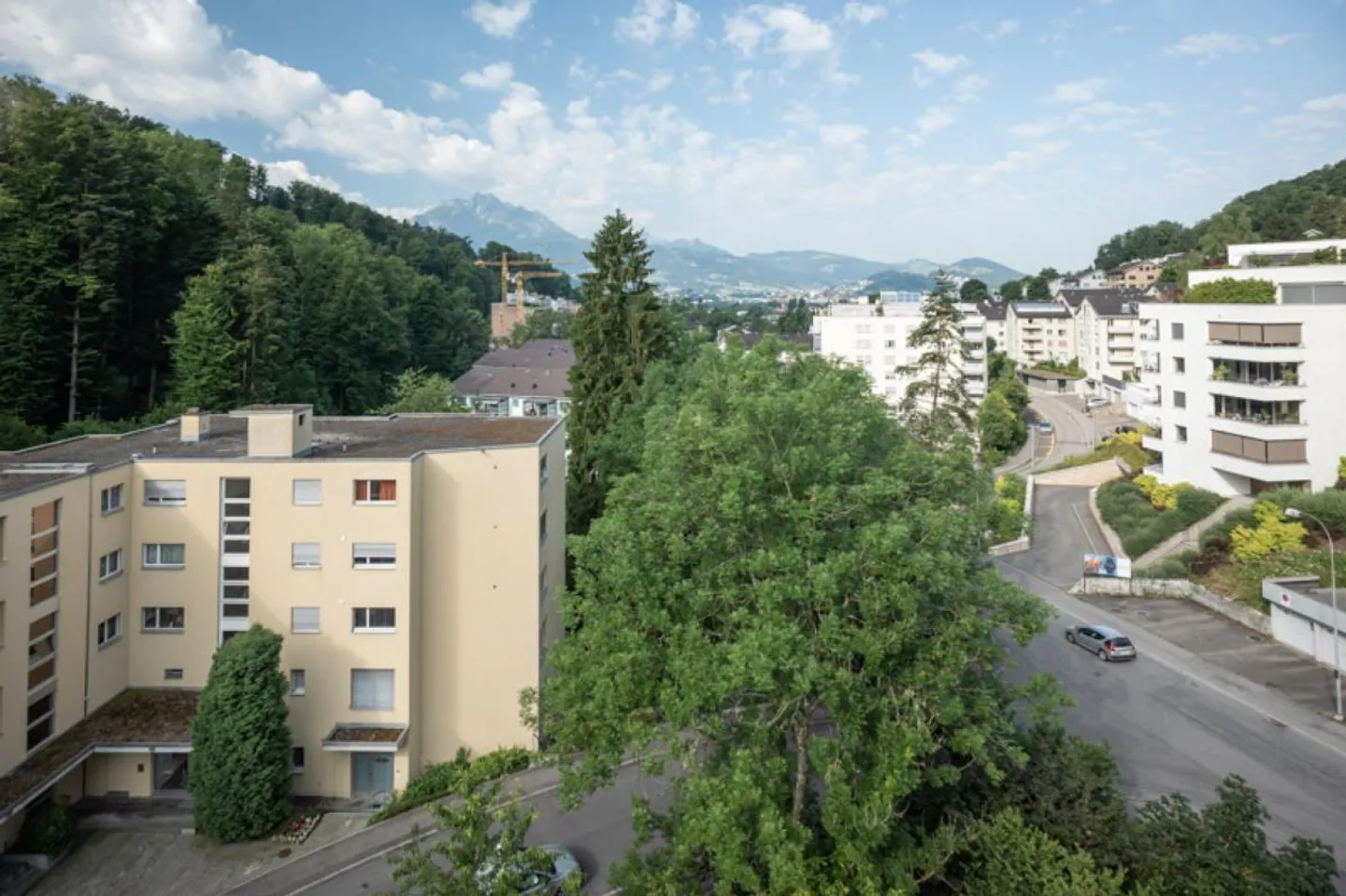 From City Hustle to Greenery - Photo 1 of 8