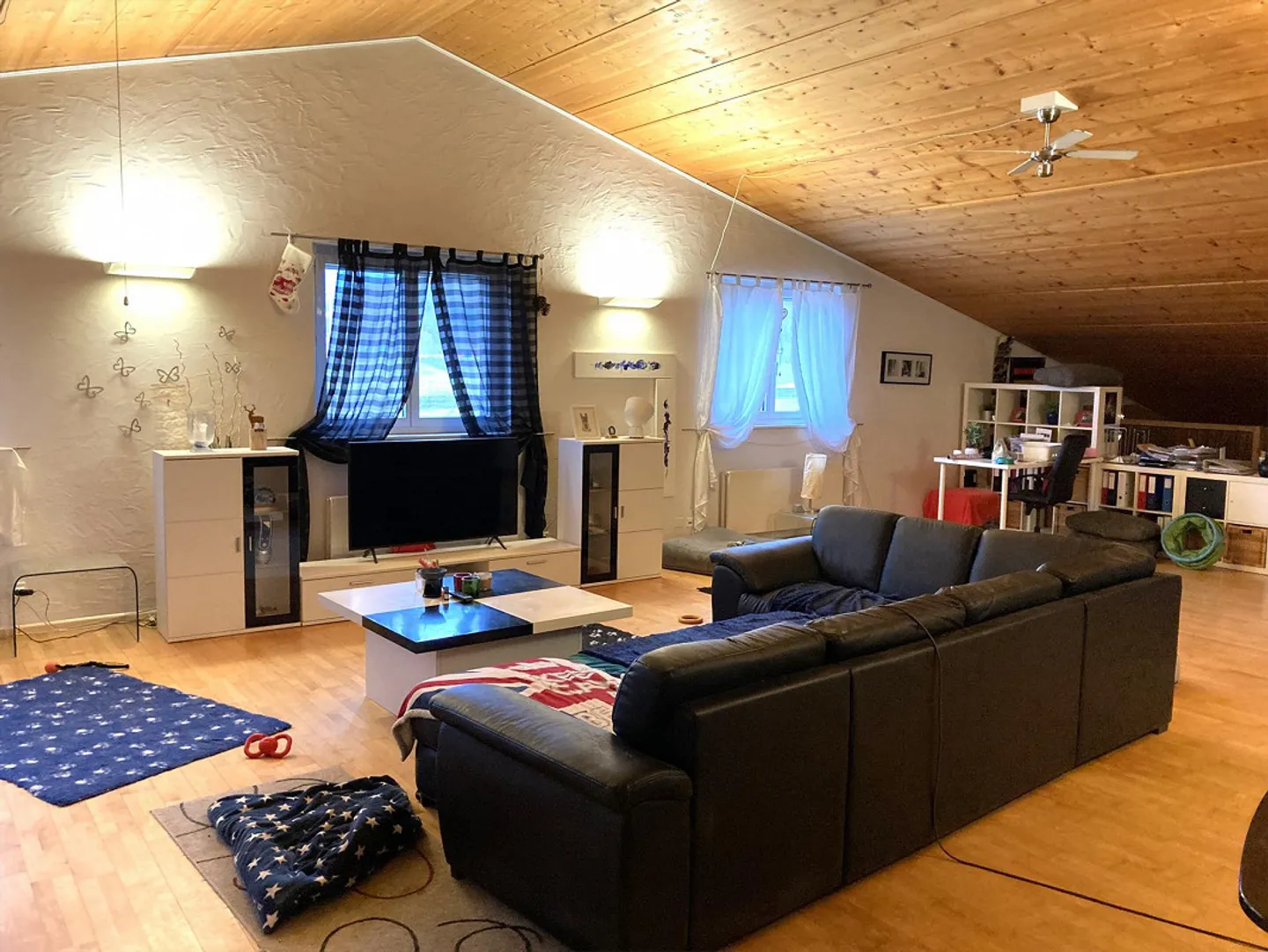 Ampio appartamento loft a contatto con la natura per proprietari di (molti) cani o cavalli - Foto 3 di 6