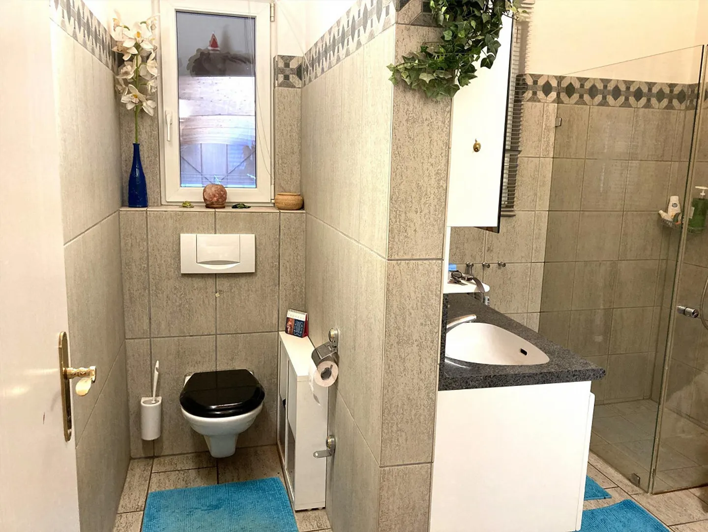 Ampio appartamento loft a contatto con la natura per proprietari di (molti) cani o cavalli - Foto 5 di 6